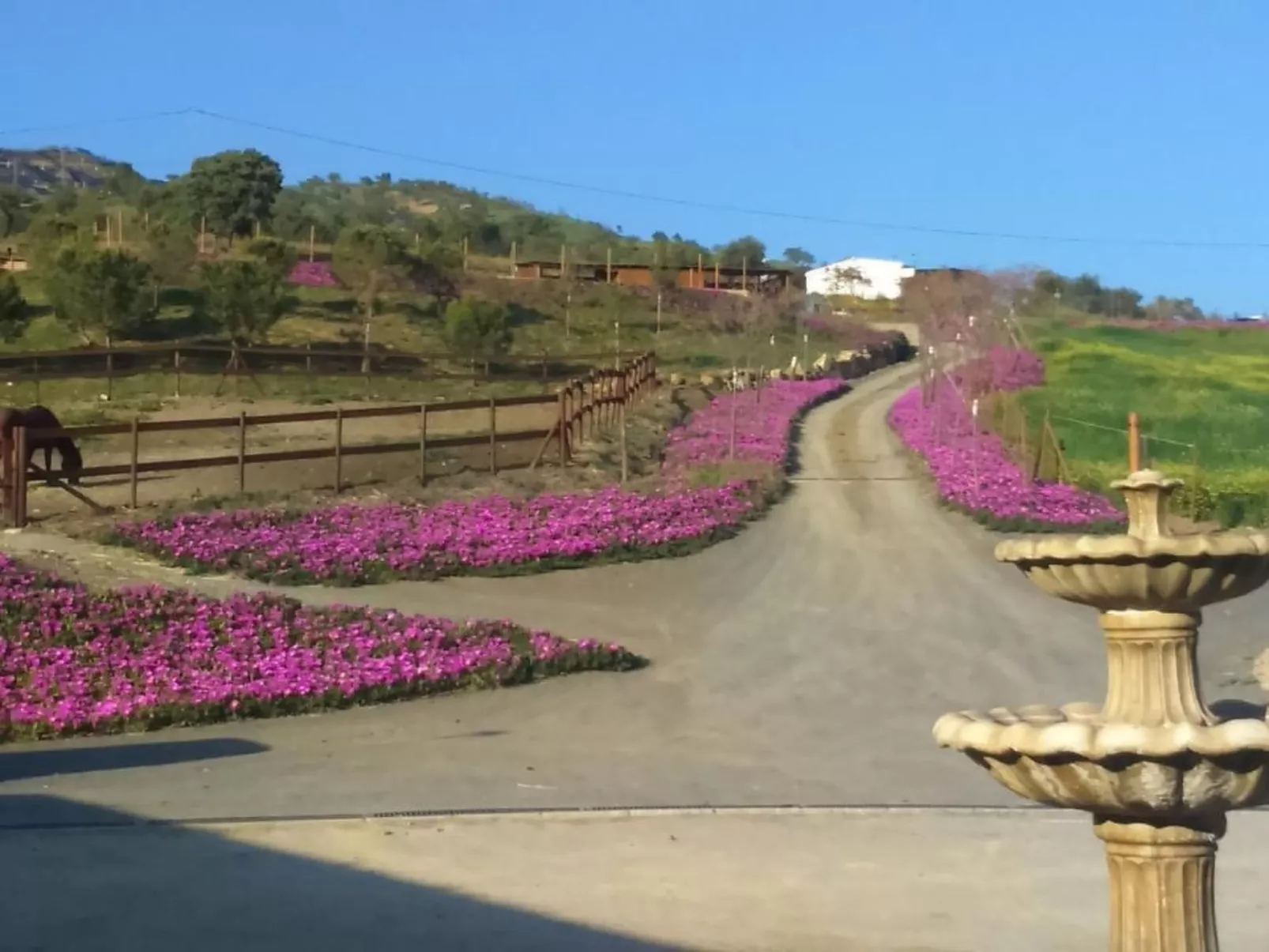 Gemütliches Ferienhaus in Almogía mit Garten - Image-tags.info