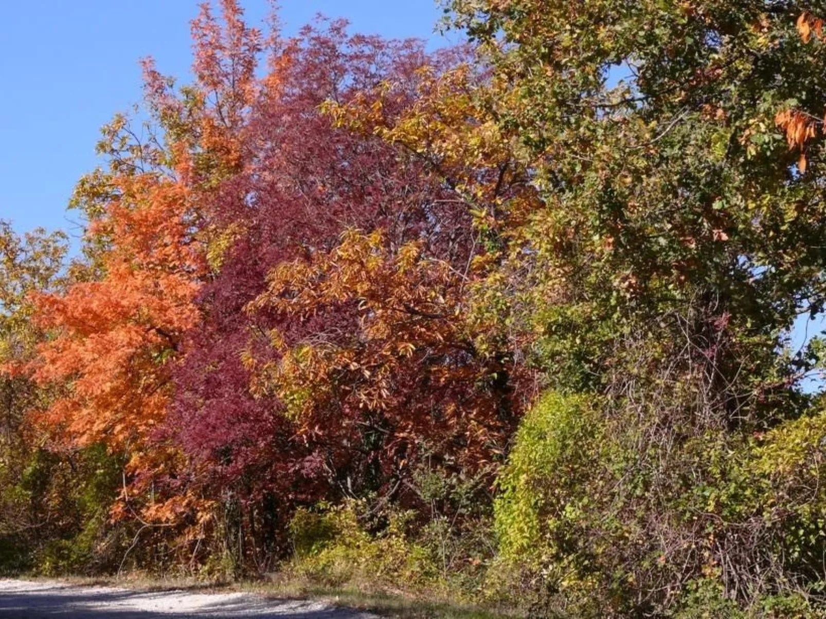 Anwesen mit Terrasse-Image-tags.info