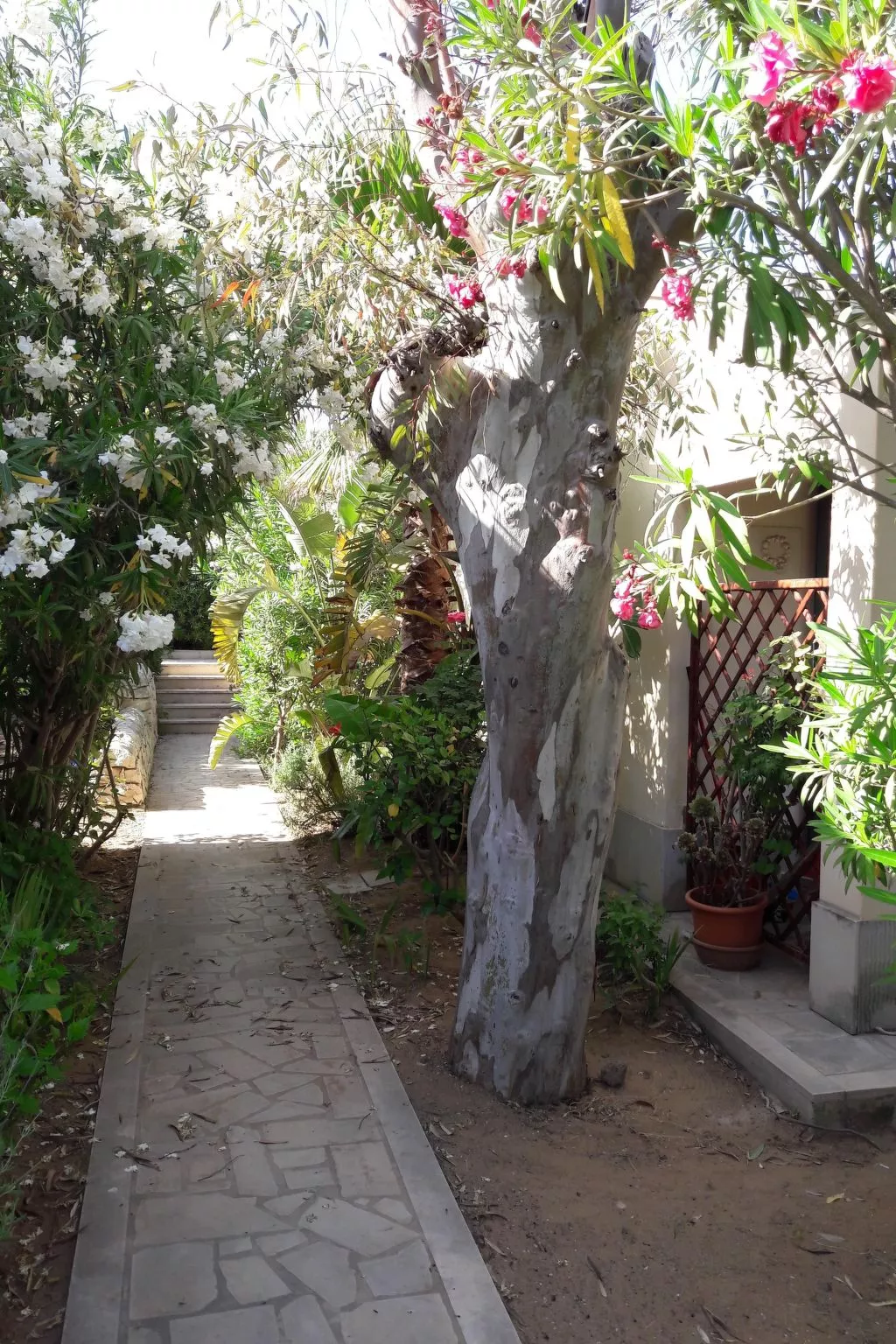 La Perla 5-Image-tags.info