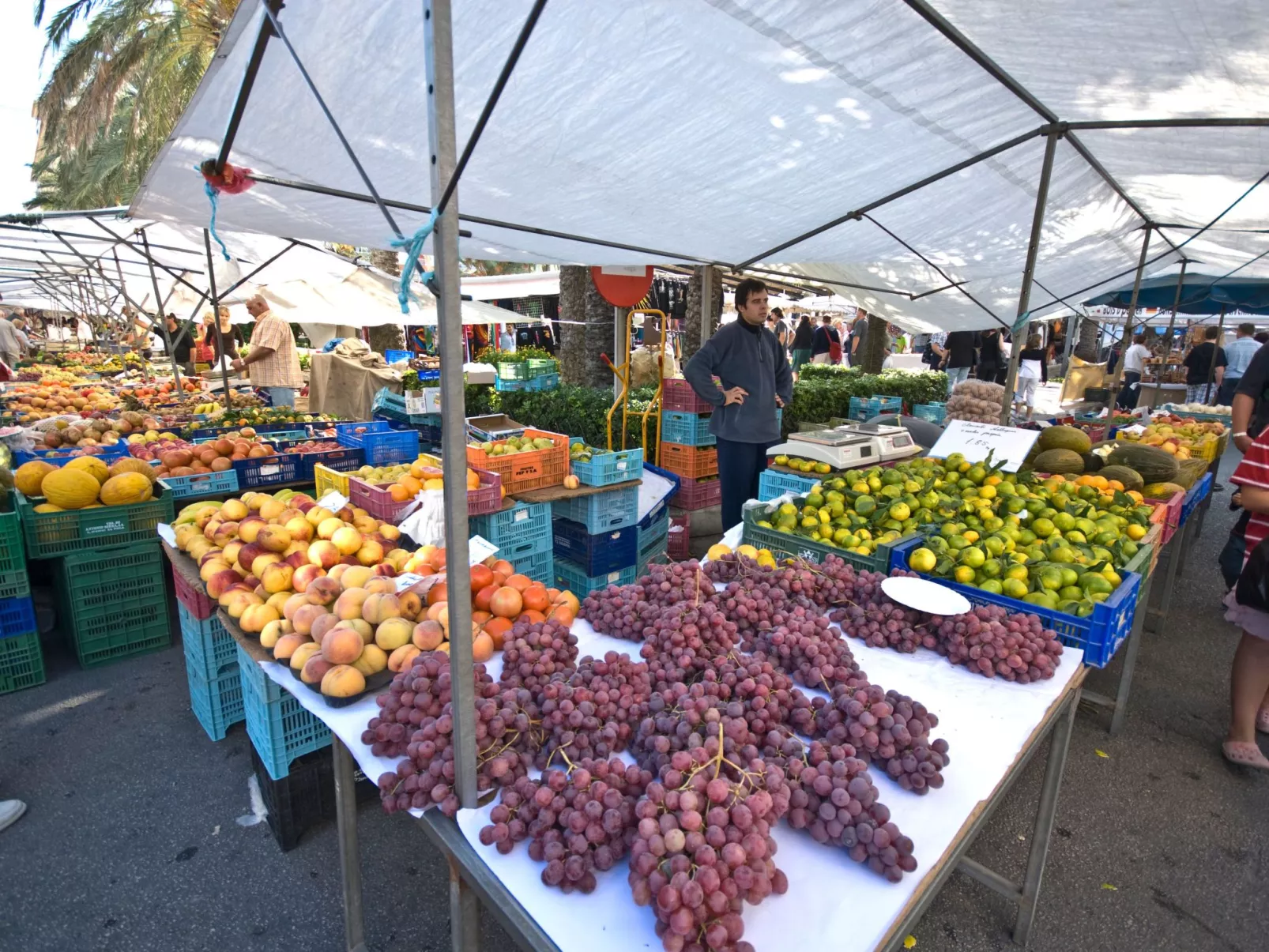 Wohnung 'Can Serol' mit eigener Terrasse-Image-tags.info