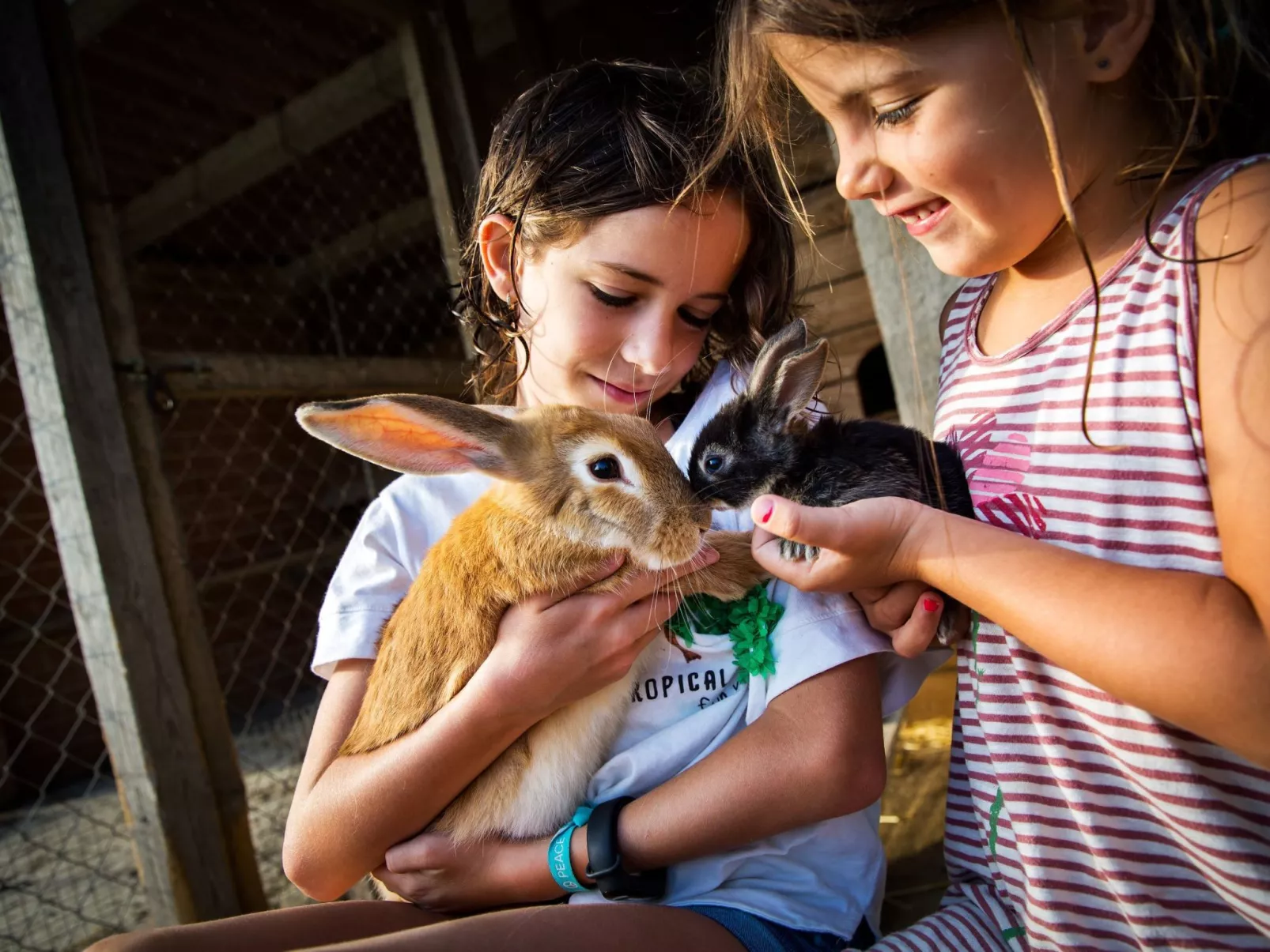 "Cobert del Carro".-Image-tags.info