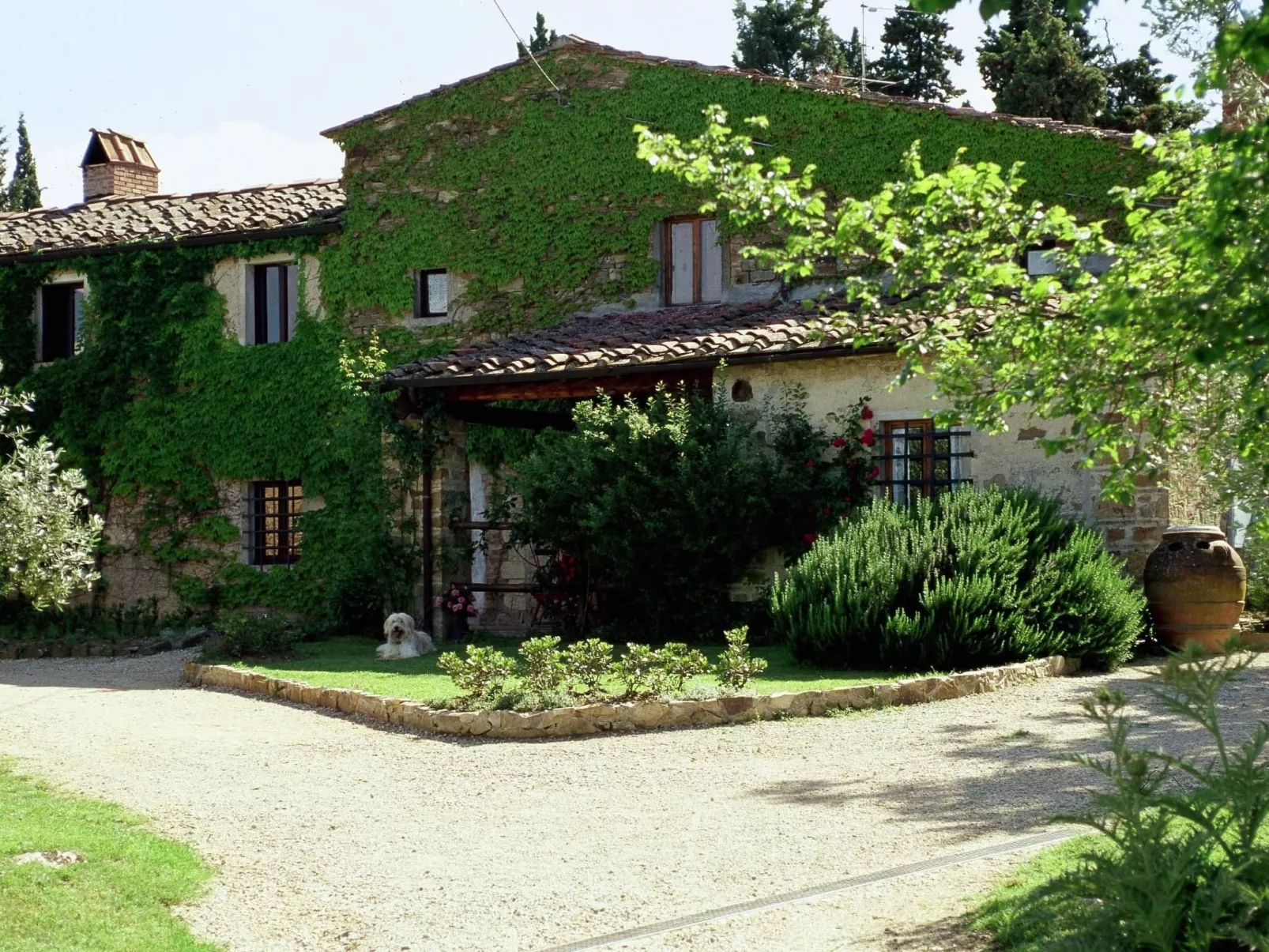 Gemütliche blaue Wohnung mit Garten-Buiten