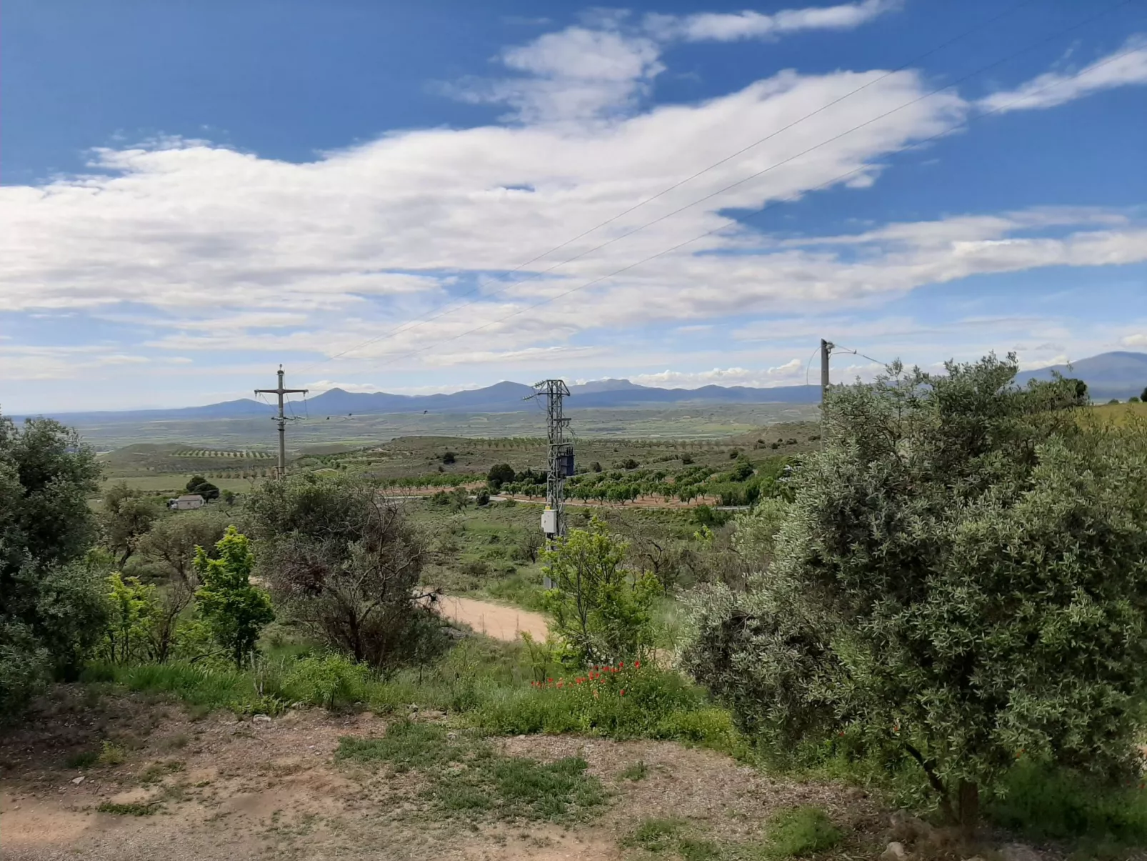 Weingut "Garnacha de Borja".-Image-tags.info