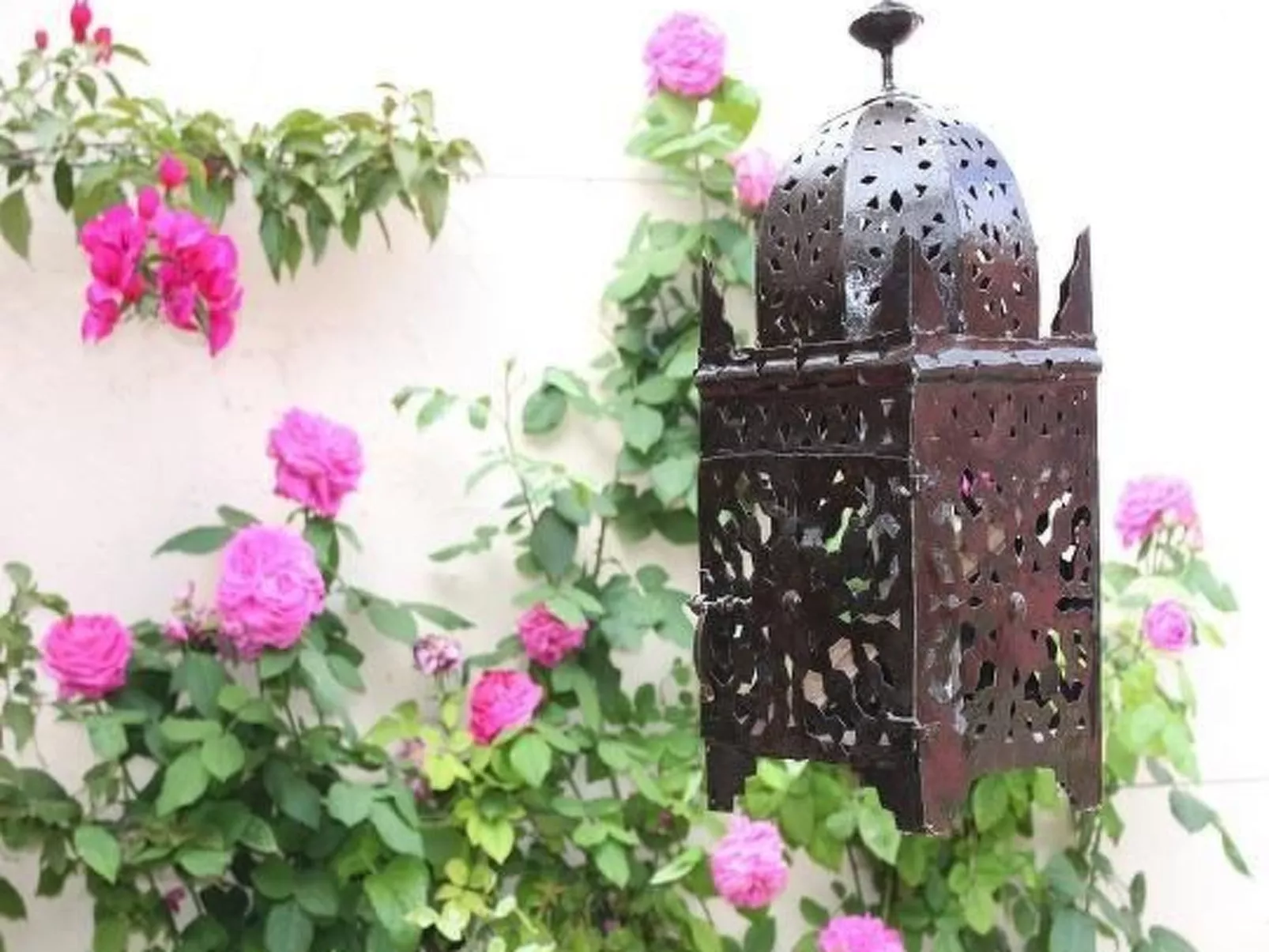 Casa Carmen-Image-tags.info