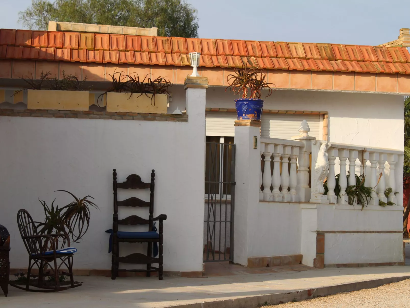 Casa Magdalena, Fincahaus, Hund erlaubt, Pool-Buiten