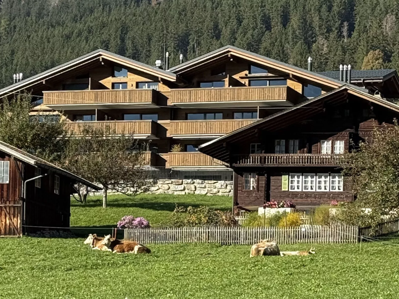 Apartment Wega-Buiten