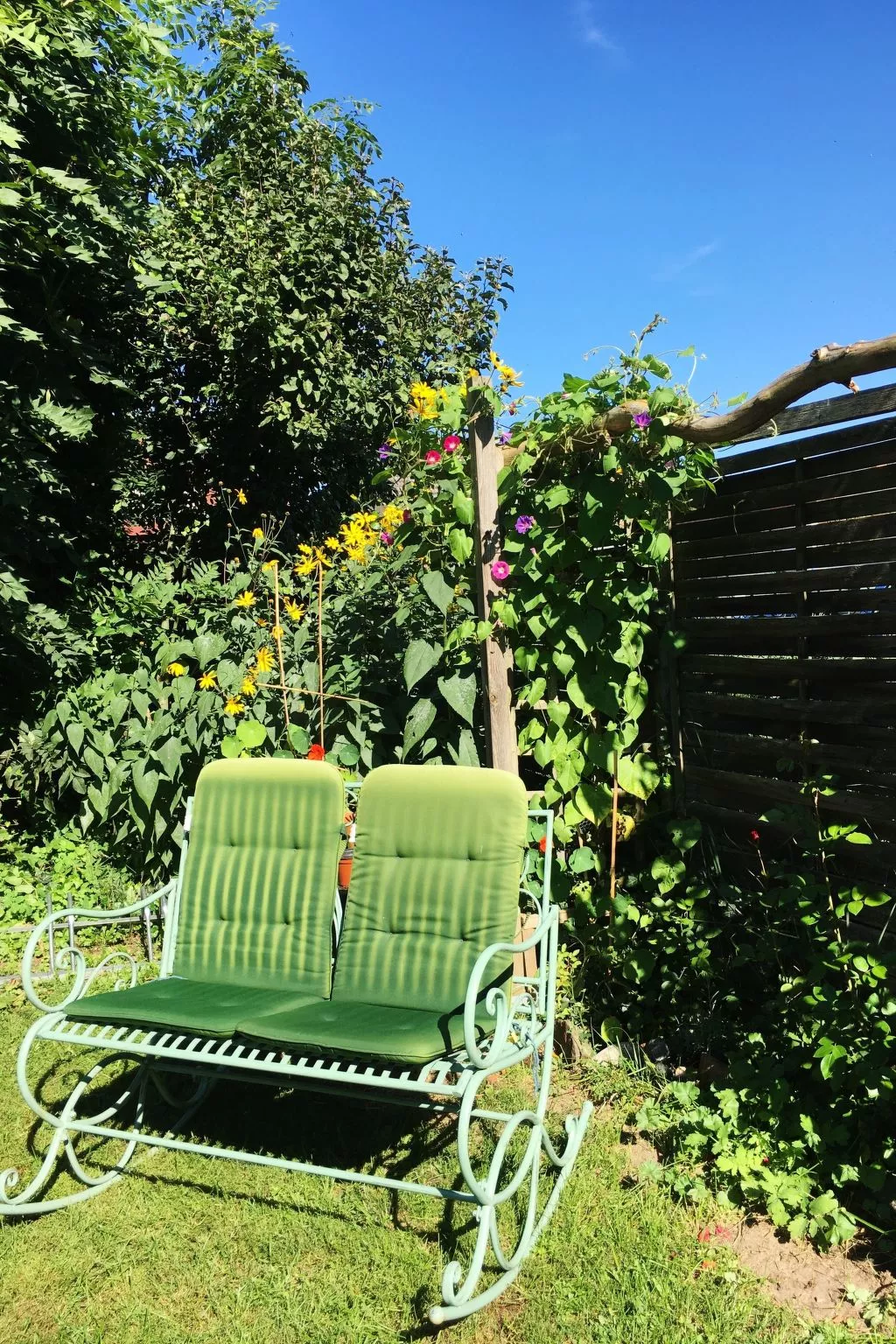 Löwenzahn-Image-tags.info