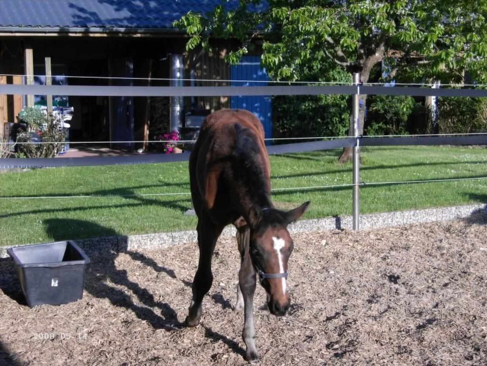 Westrich in guter Ausflugslage-Image-tags.info