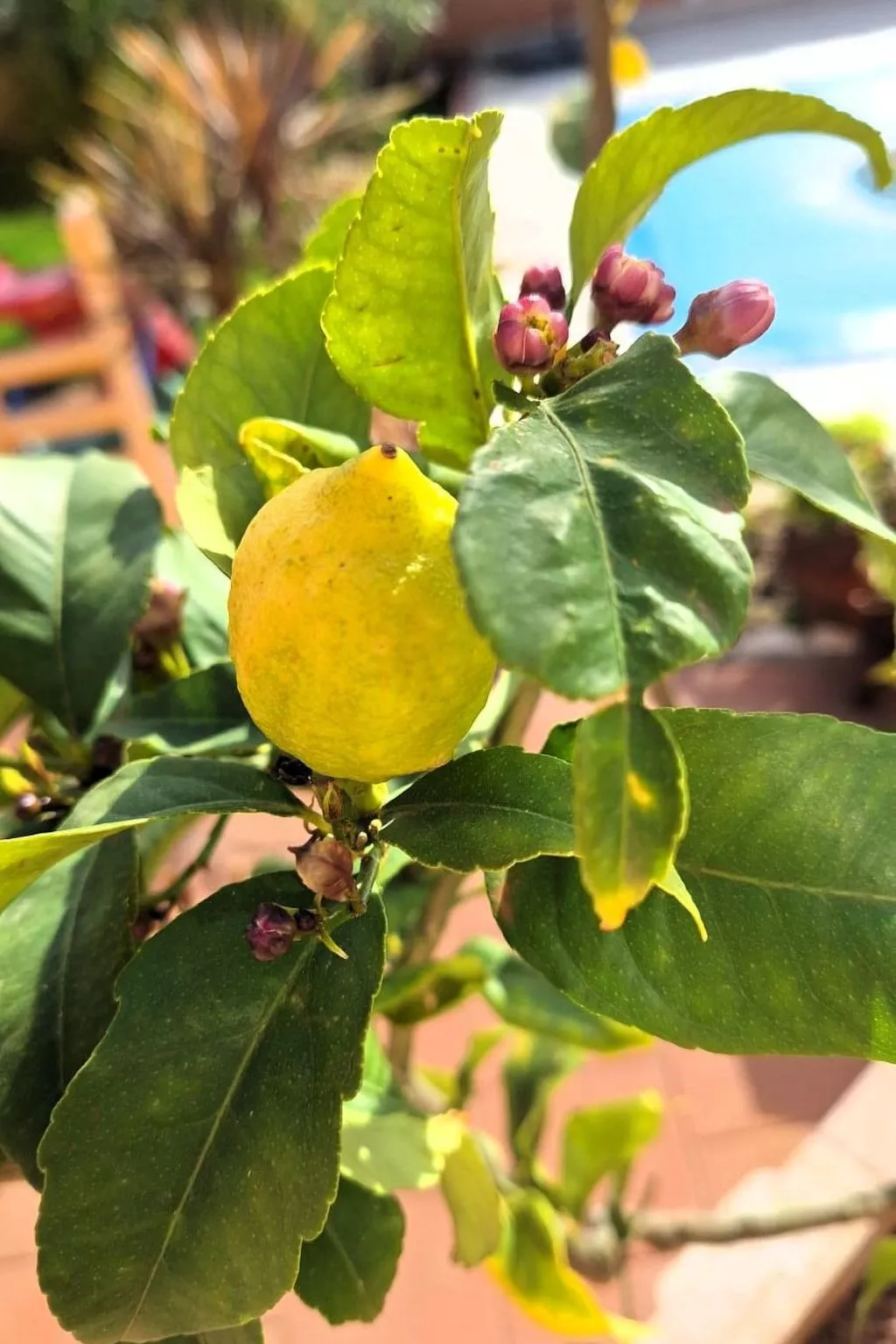 Mit Pool in Istrien-Buiten