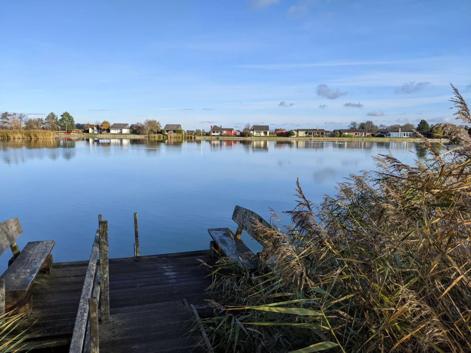 Eul in Butjadingen-Großwürden-Buiten