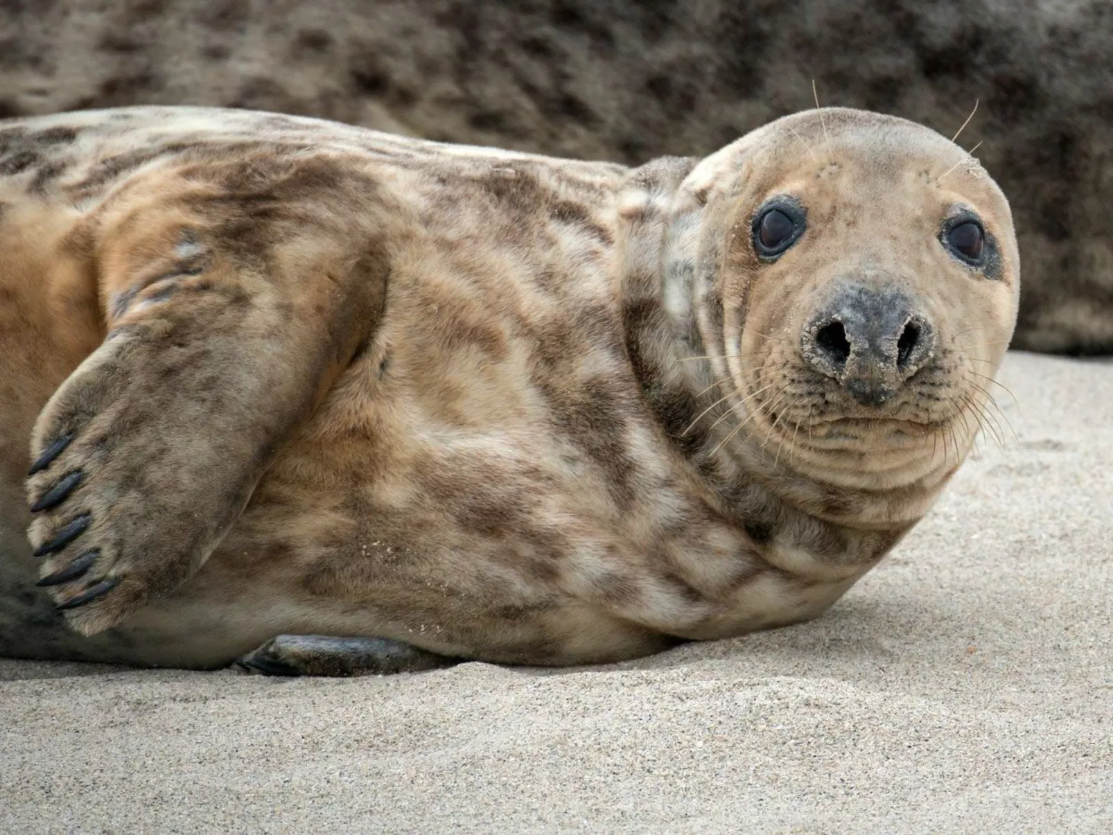 In Burhave mit Großer Terrasse-Image-tags.info