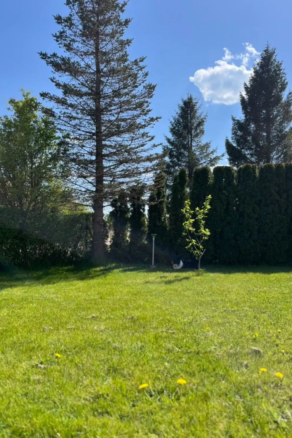Komfortable Wohnung mit Garten, in der Nähe des Meeres-Buiten