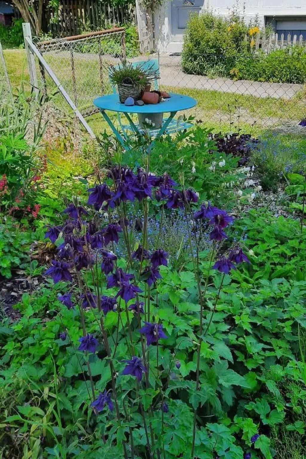 Haus Usziit - Zeit die Seele baumeln zu lassen-Buiten
