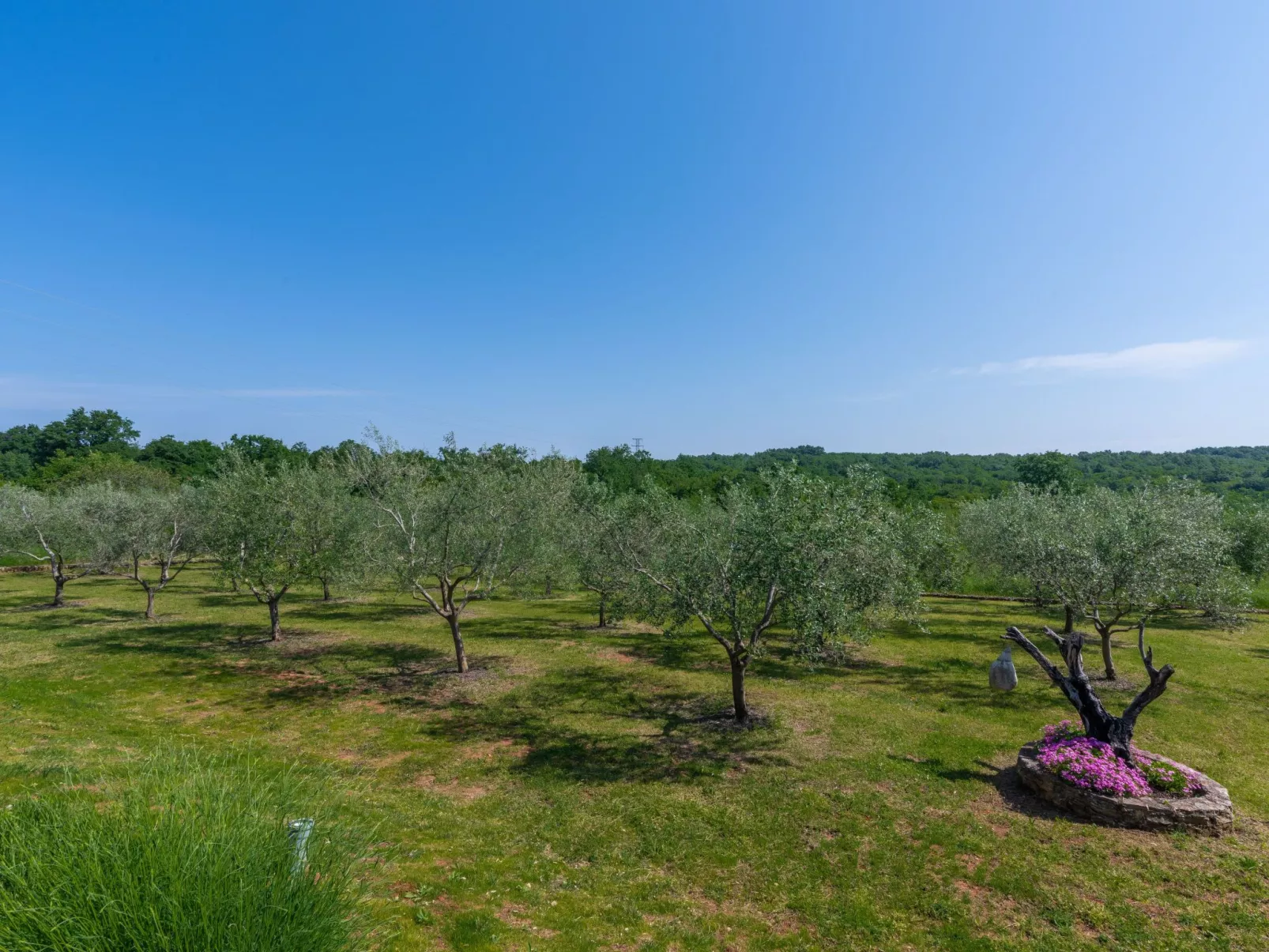 Villa Casa Claudia-Image-tags.info