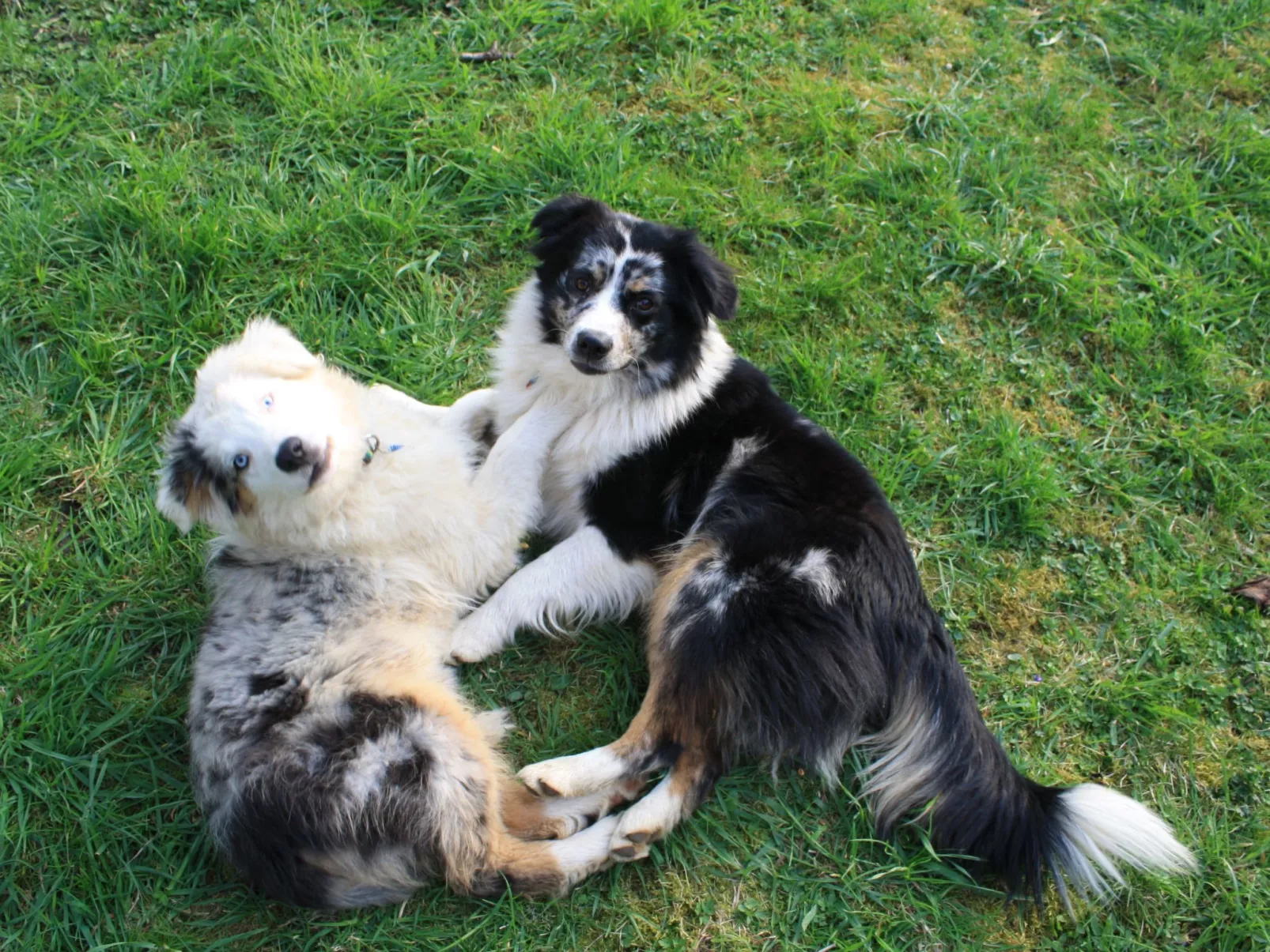 Kleine Fewo-Image-tags.info