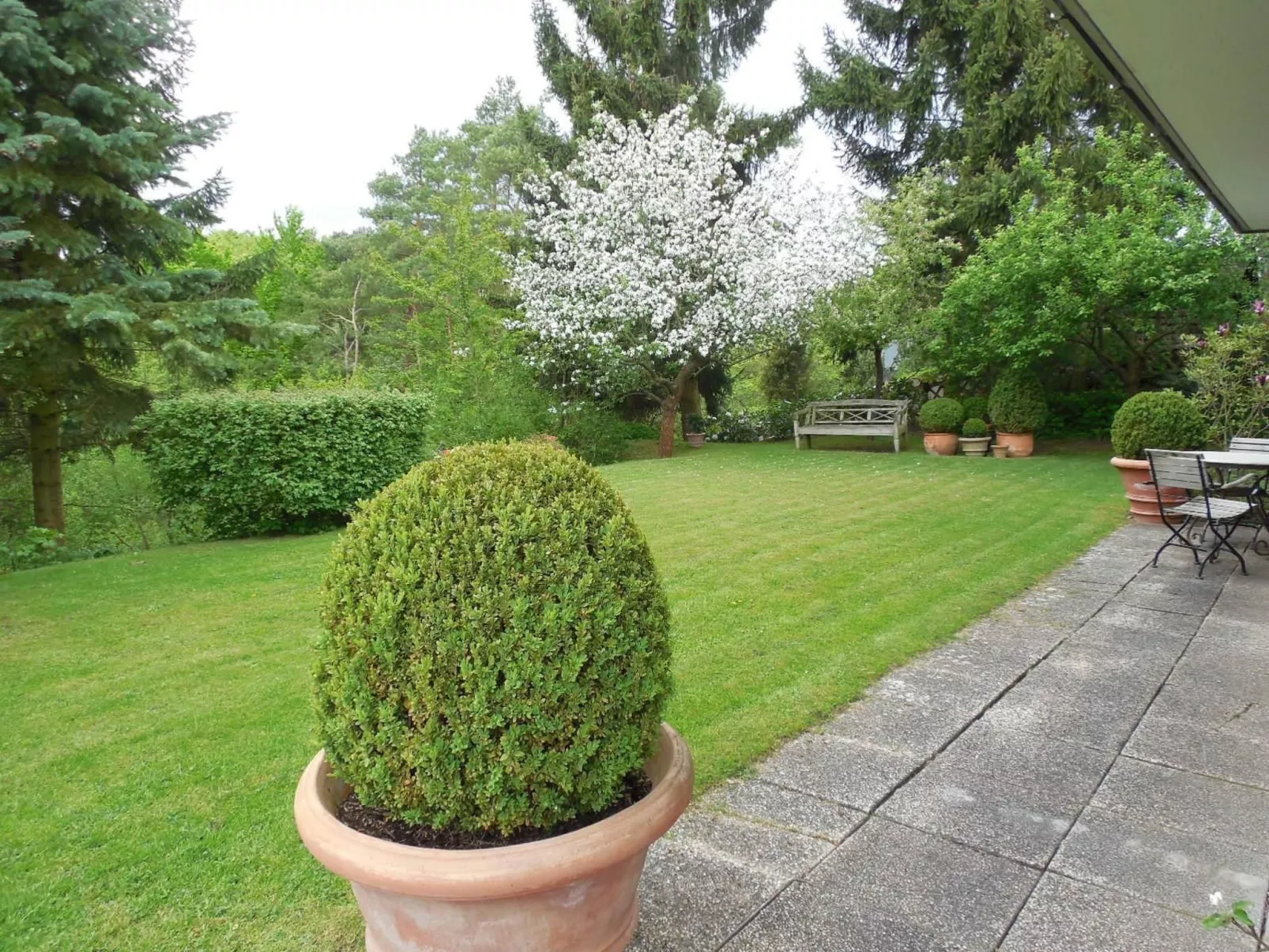 Exklusive Ferienwohnung mit Loggia am Waldrand-Buiten