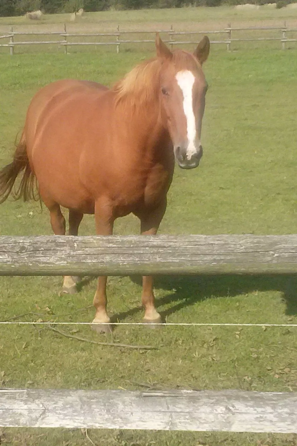 Apartment Laurence-Image-tags.info