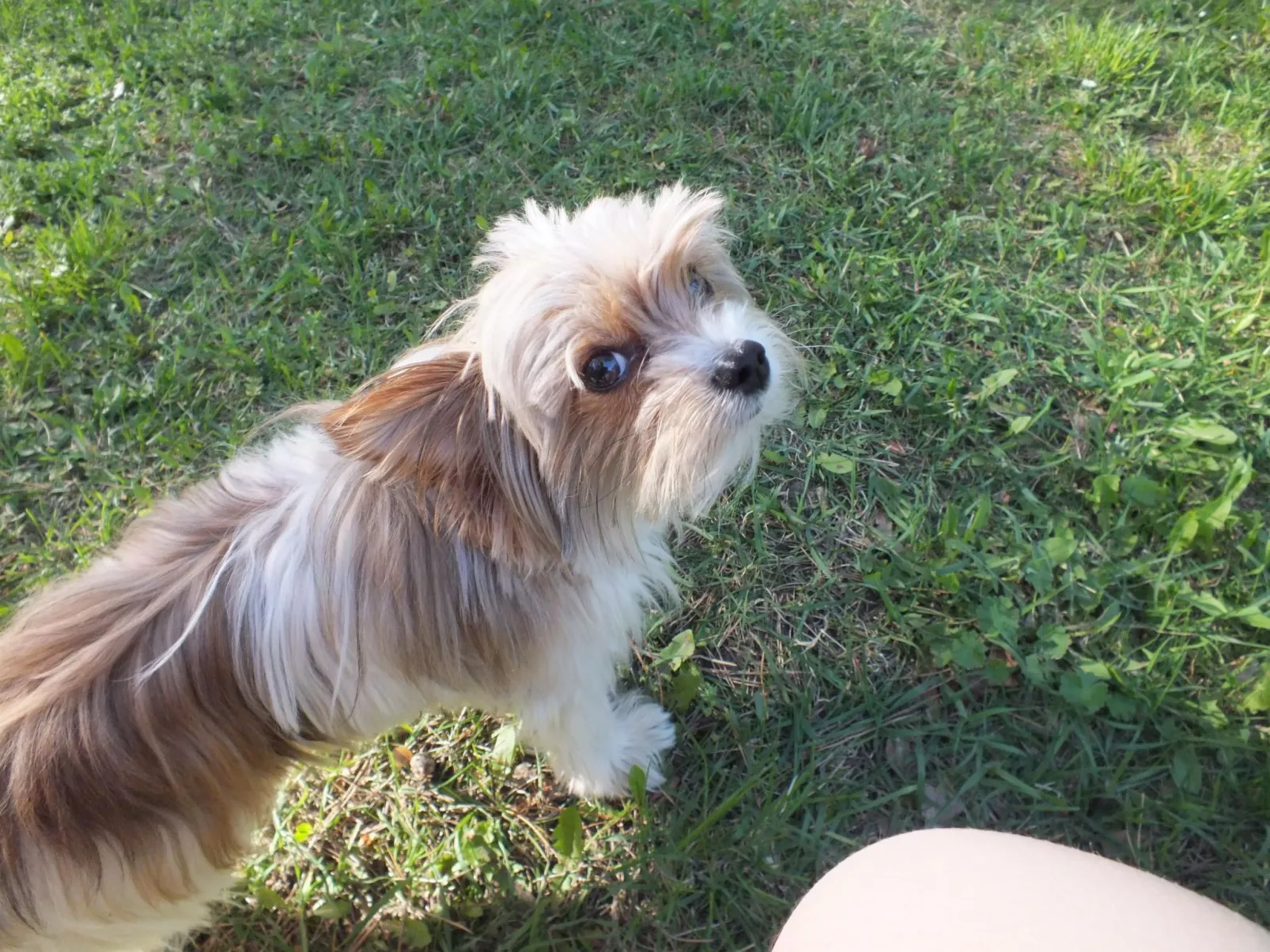Bungalow Waldidyll-Binnen