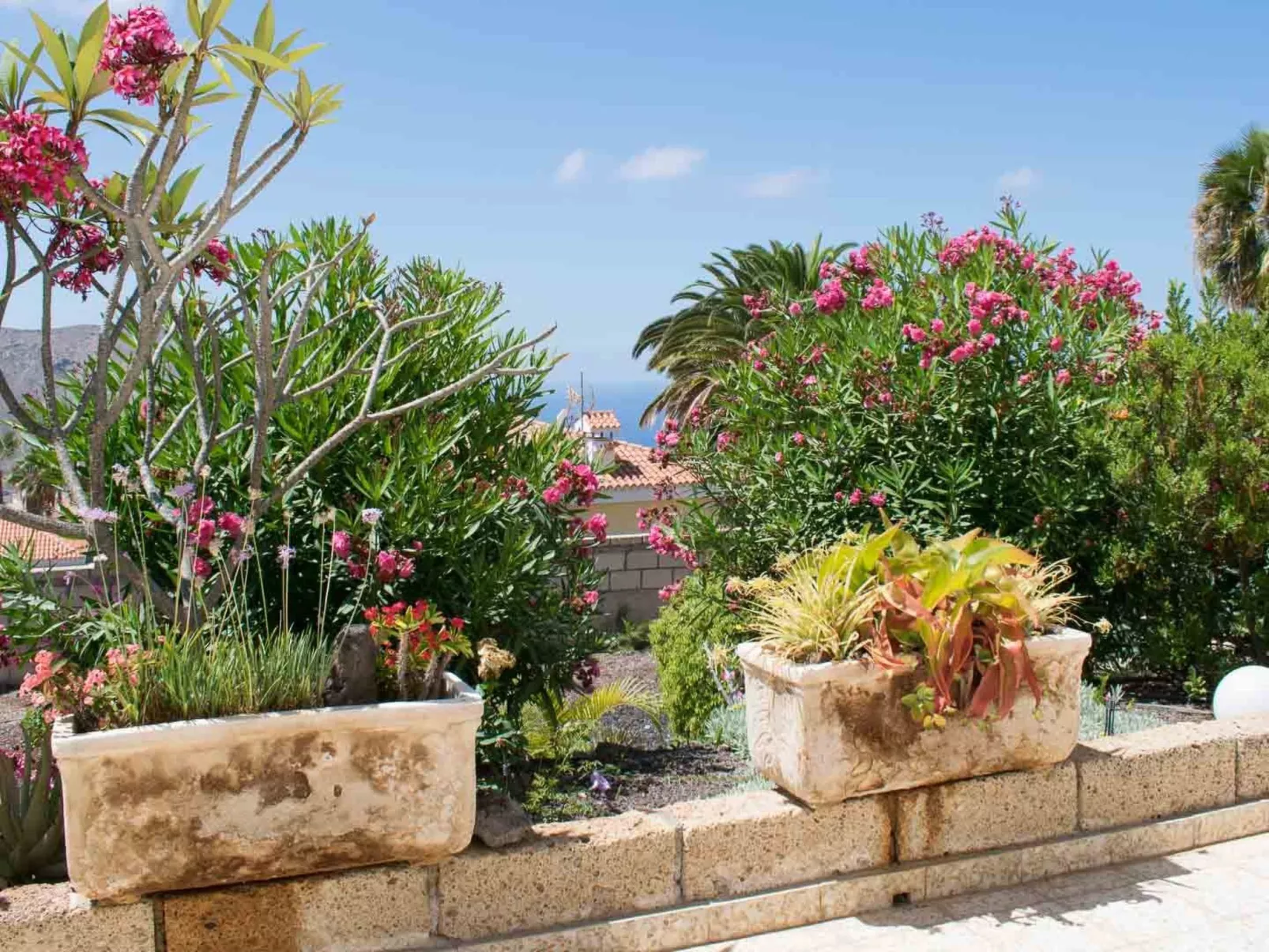 Wohnung mit botanischem Garten und Meerblick - Buiten