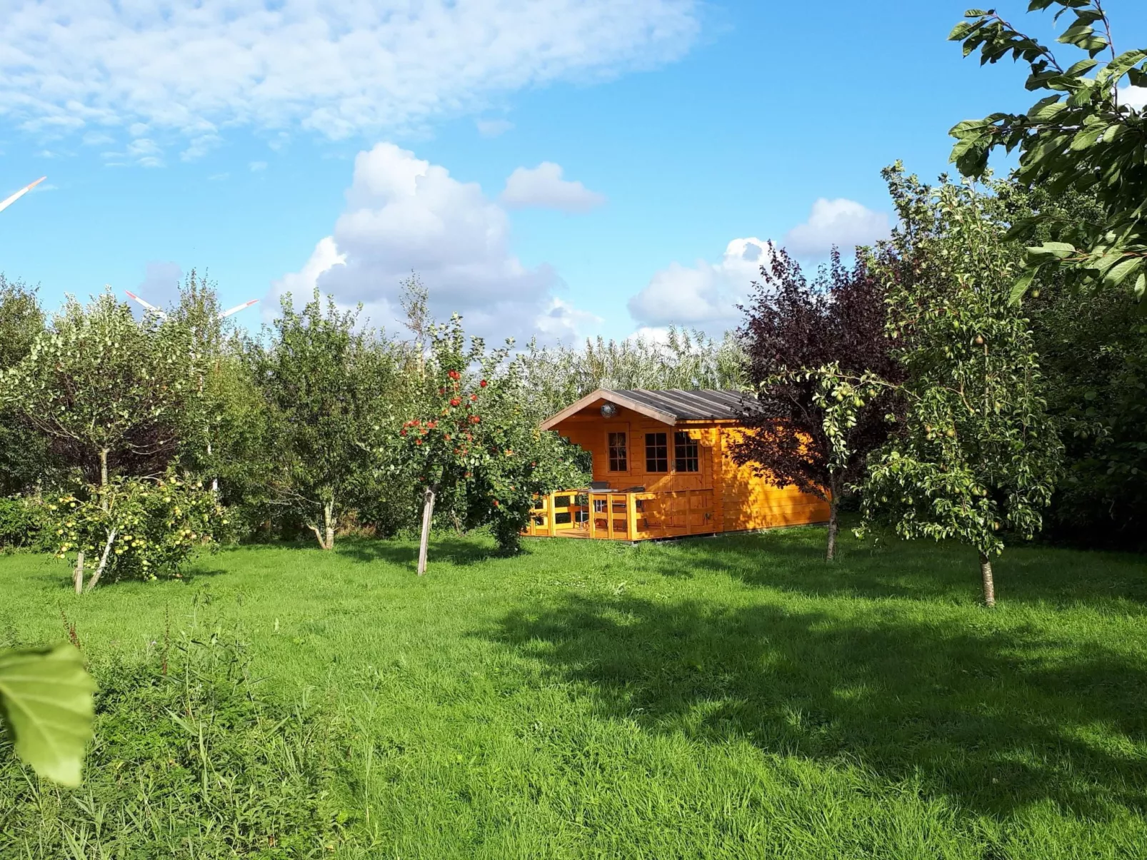 Sonnige Ferienwohnung in ländlicher Umgebung-Buiten
