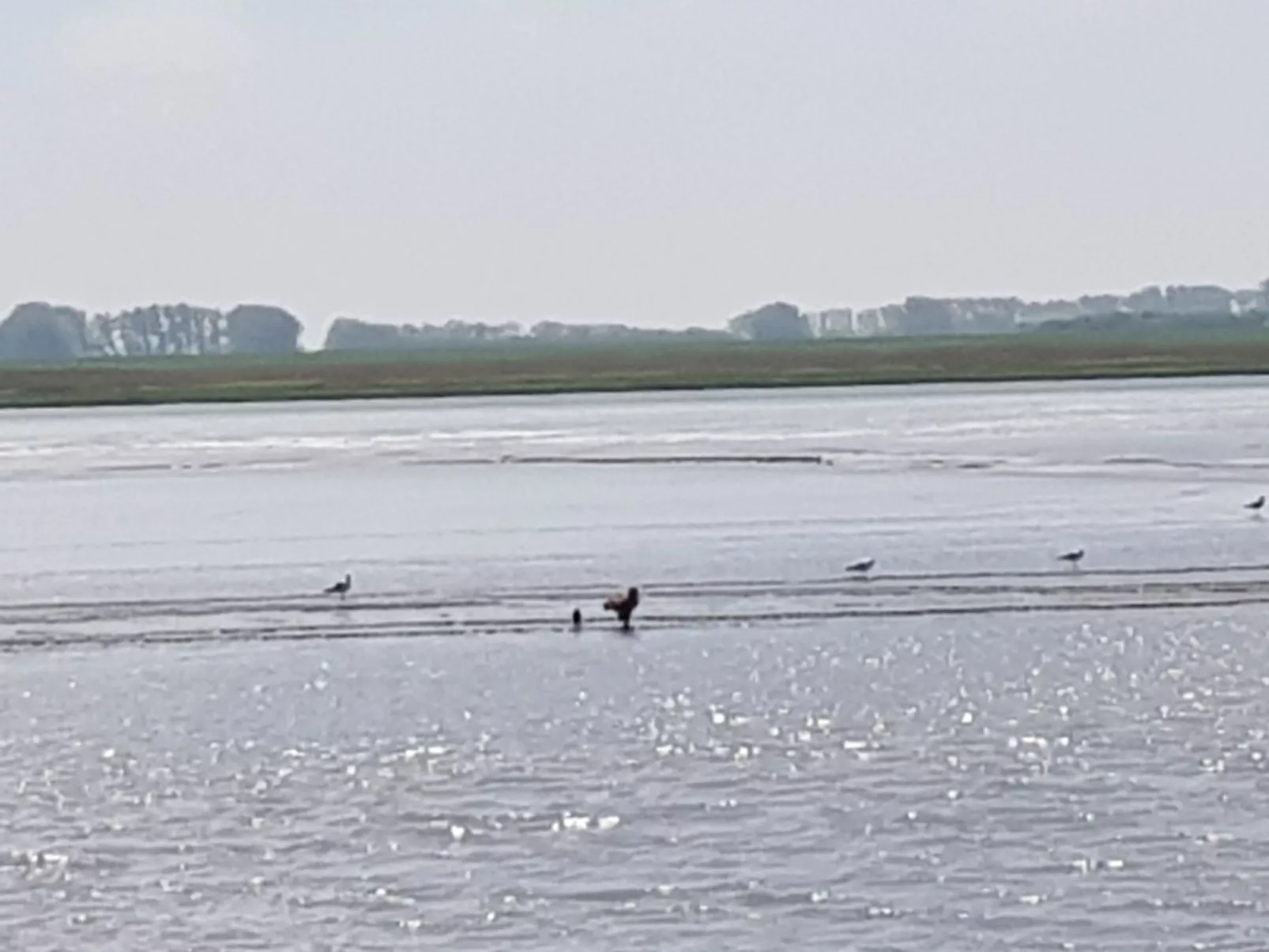 Beim Bracksee-Buiten