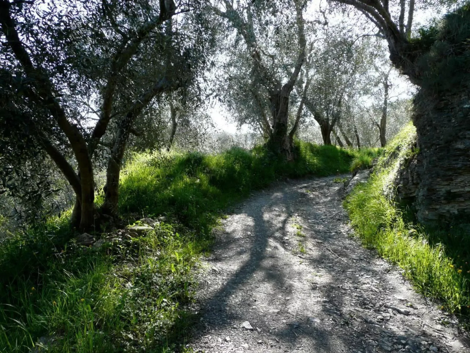 CASA SISSI, Sehnsuchtsort zwischen Olivenhainen-Buiten