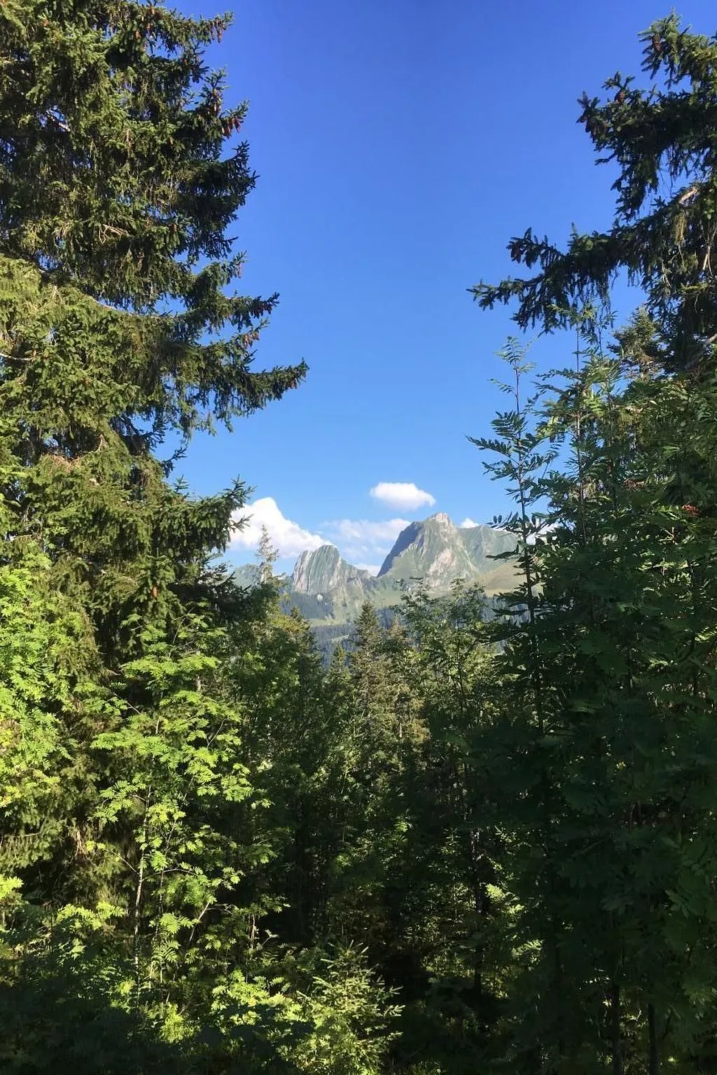 Guggershörnliblick-Image-tags.info