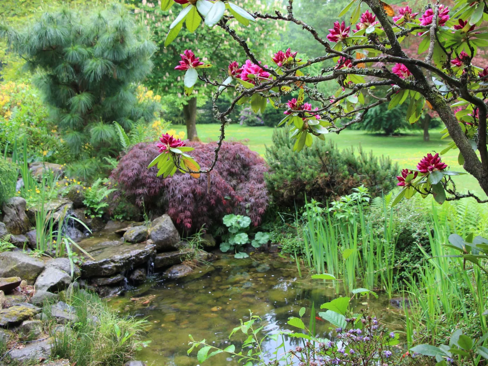 Ferienvilla mit eigener Sauna-Image-tags.info