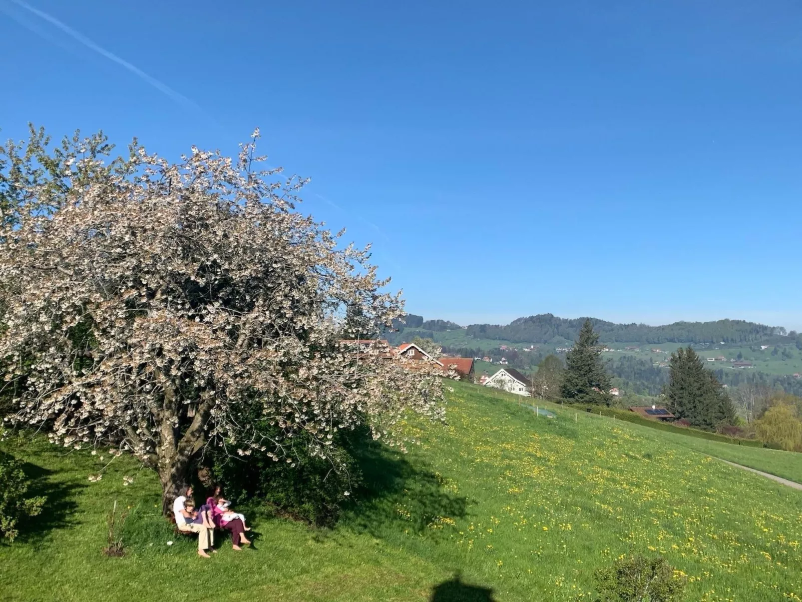 See in Sicht-Image-tags.info