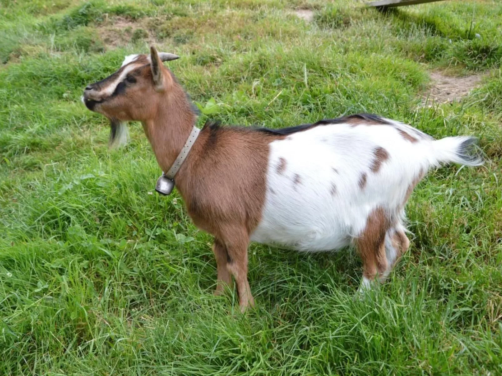 Bauernhof Gerber-Image-tags.info