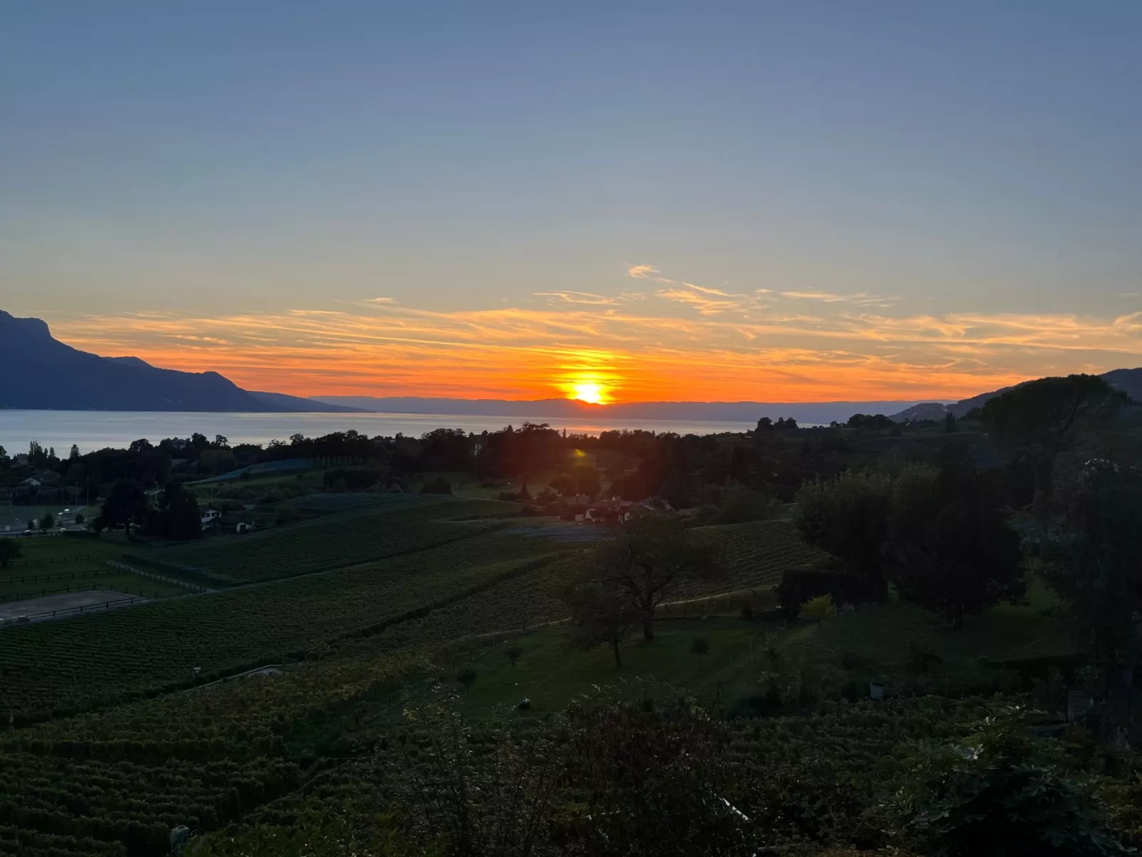 Vigneronne, App. Lac-Buiten