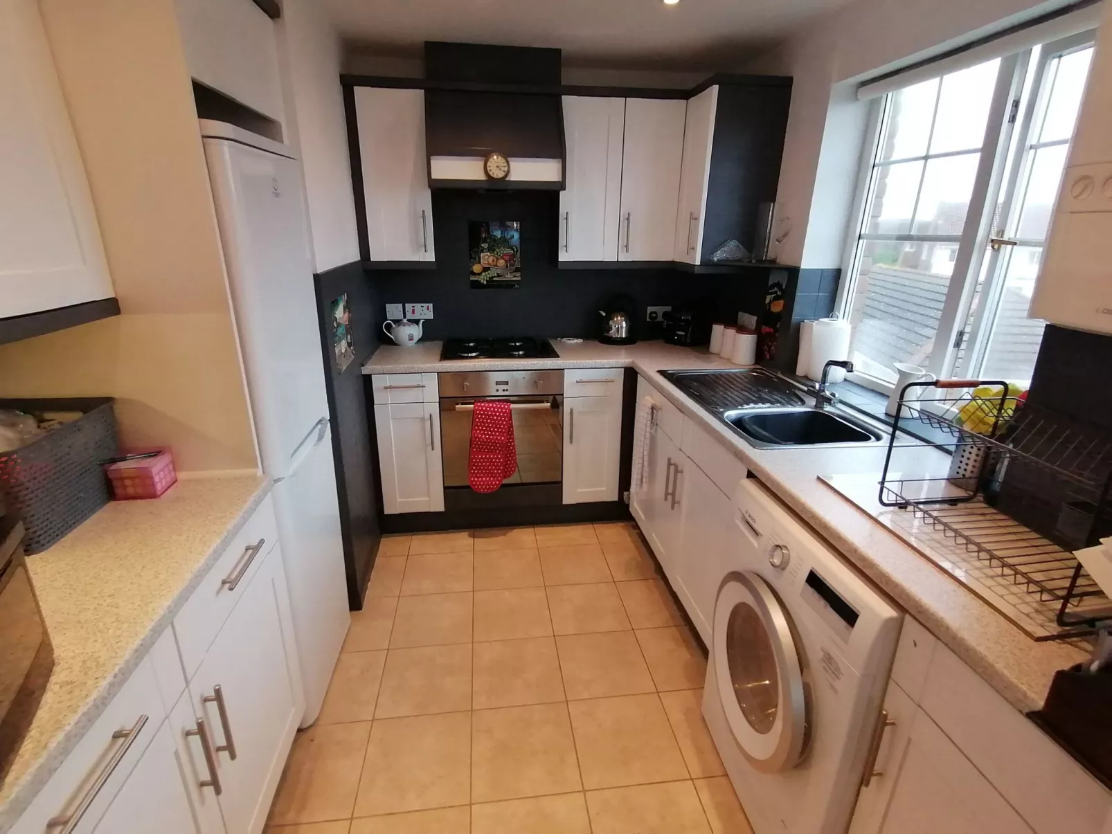 "Stewart" mit Blick auf das Wasser-Image-tags.info