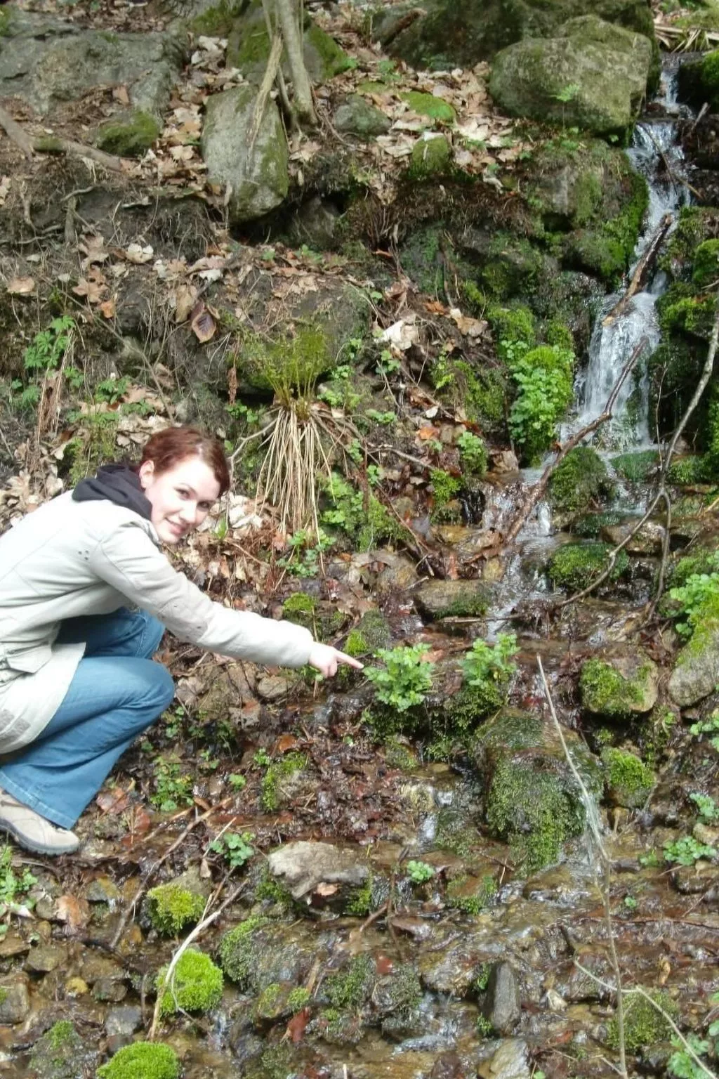 Fewo Altes Schulhaus-Buiten