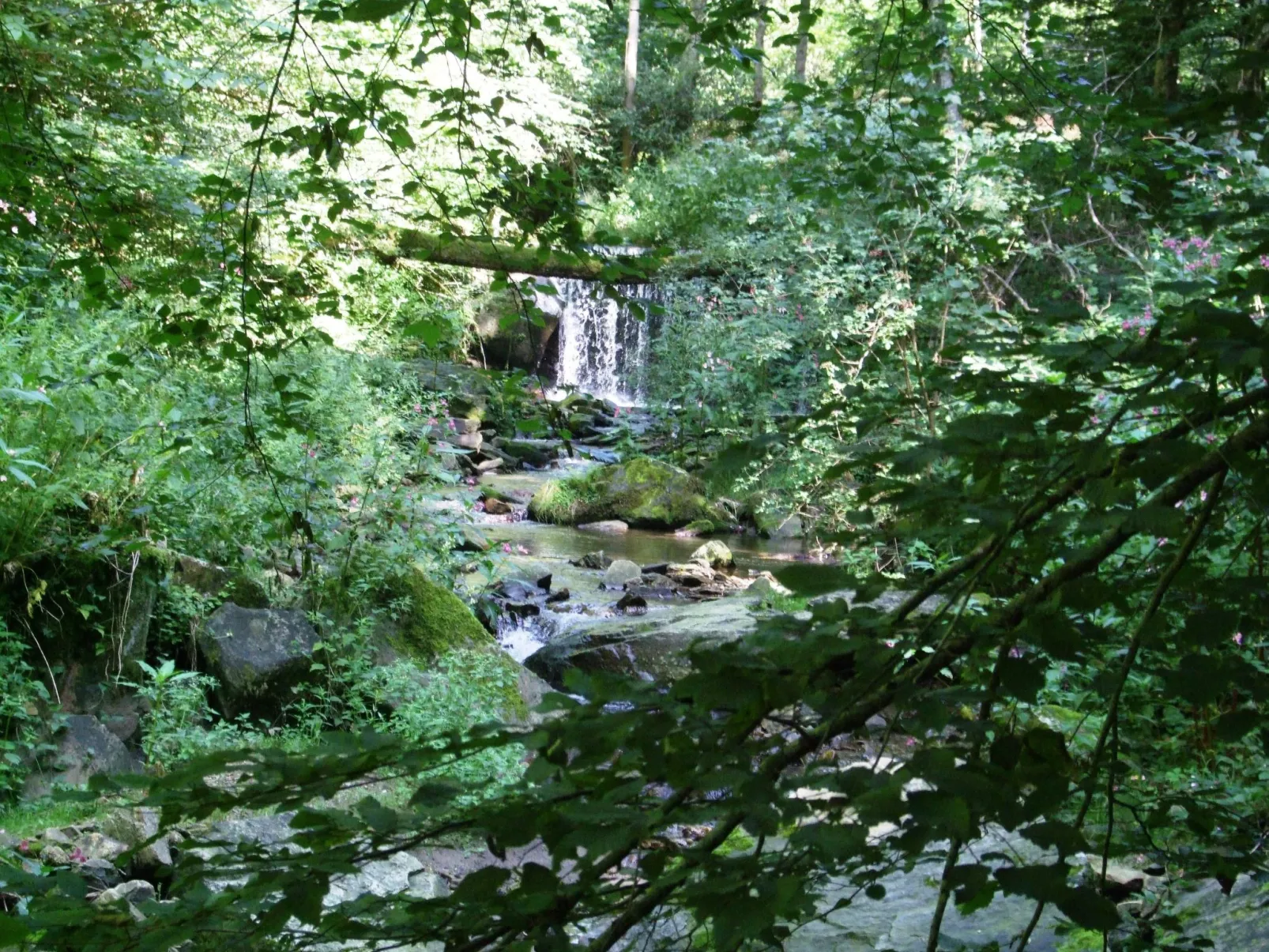 Örtl in Obernzell-Buiten