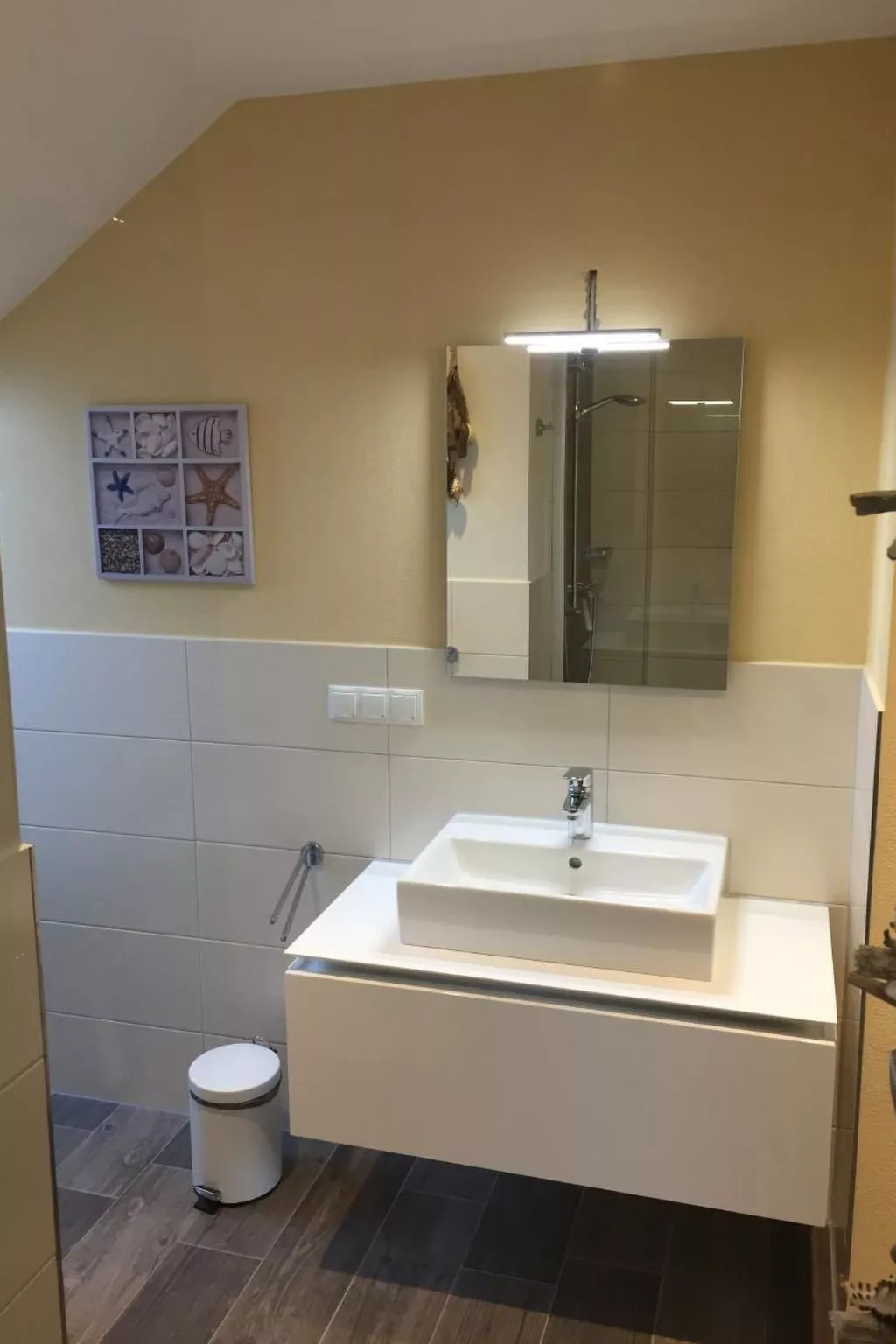 Möwe-Image-tags.info