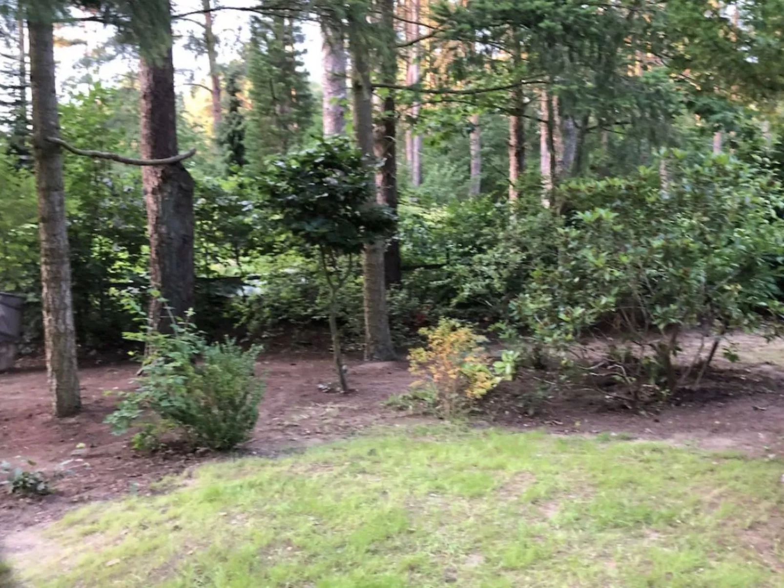 Reetdach Ferienhaus am Lübbesee Sauna Bootsteg neu-Image-tags.info