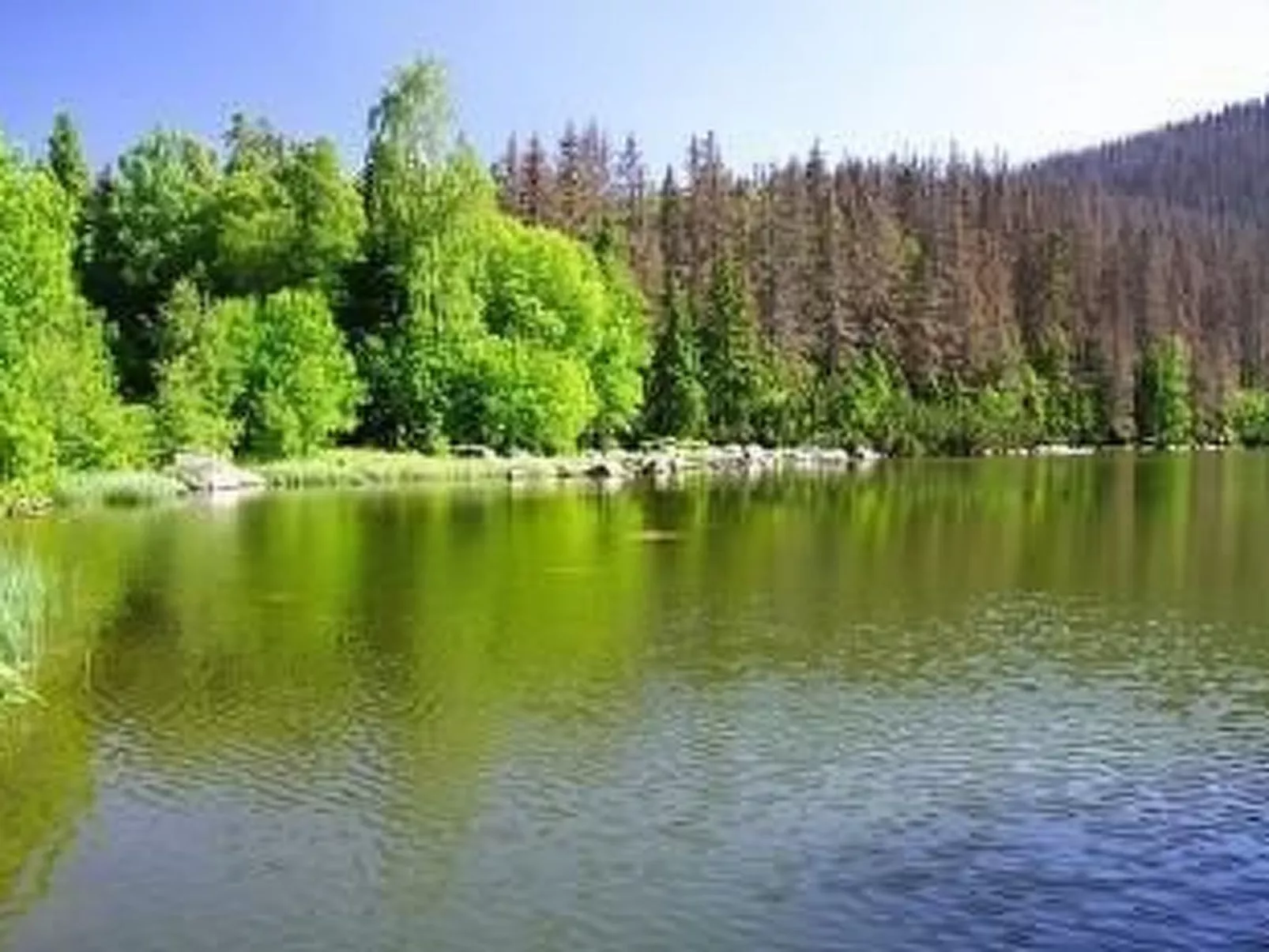 Pfenniggeiger- Hütte-Buiten