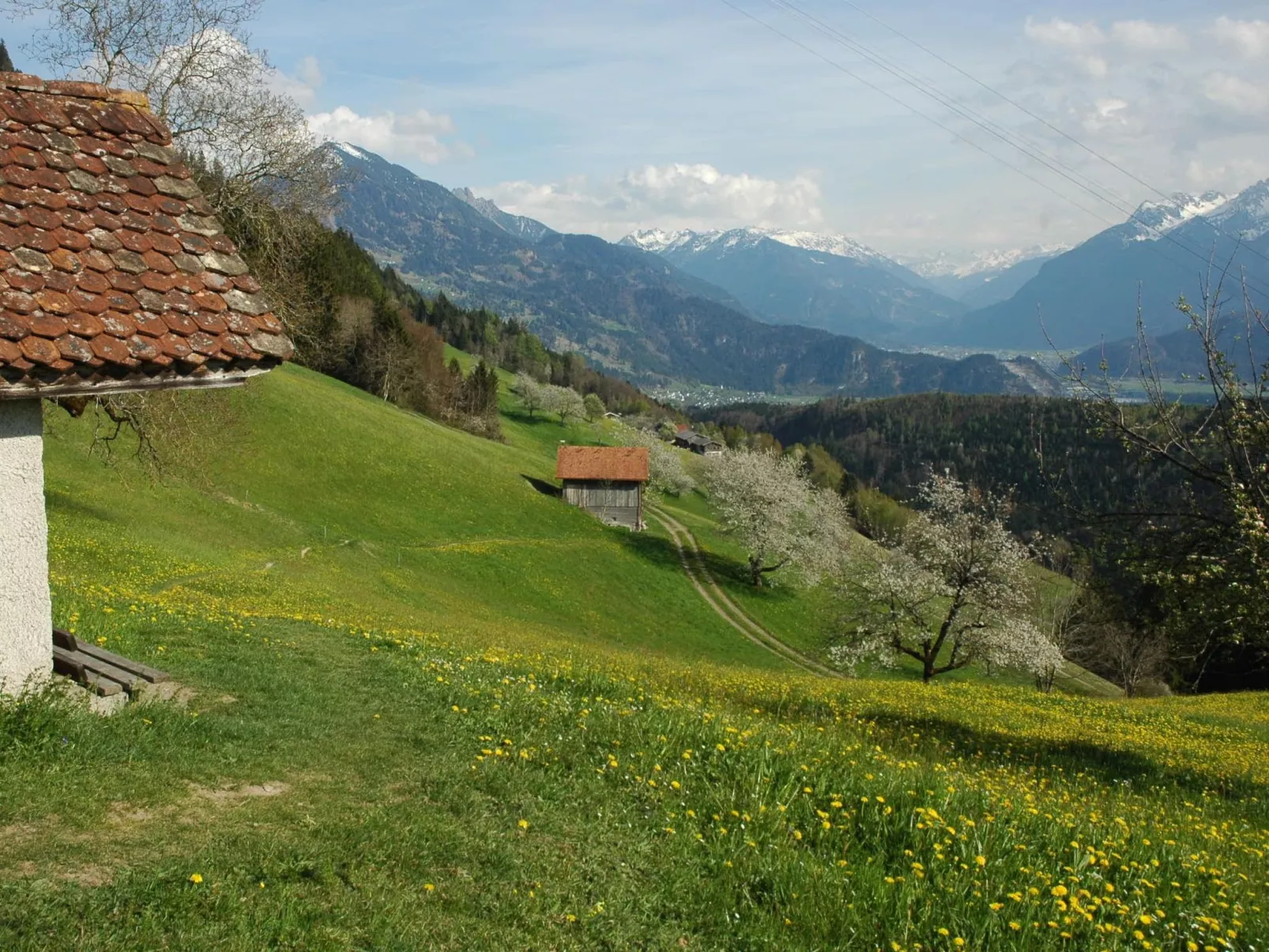 Dünser in Dünserberg-Buiten
