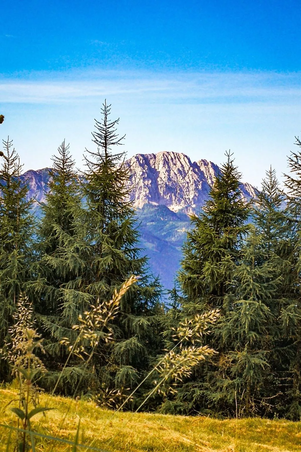 Almhütte Enzian-Image-tags.info