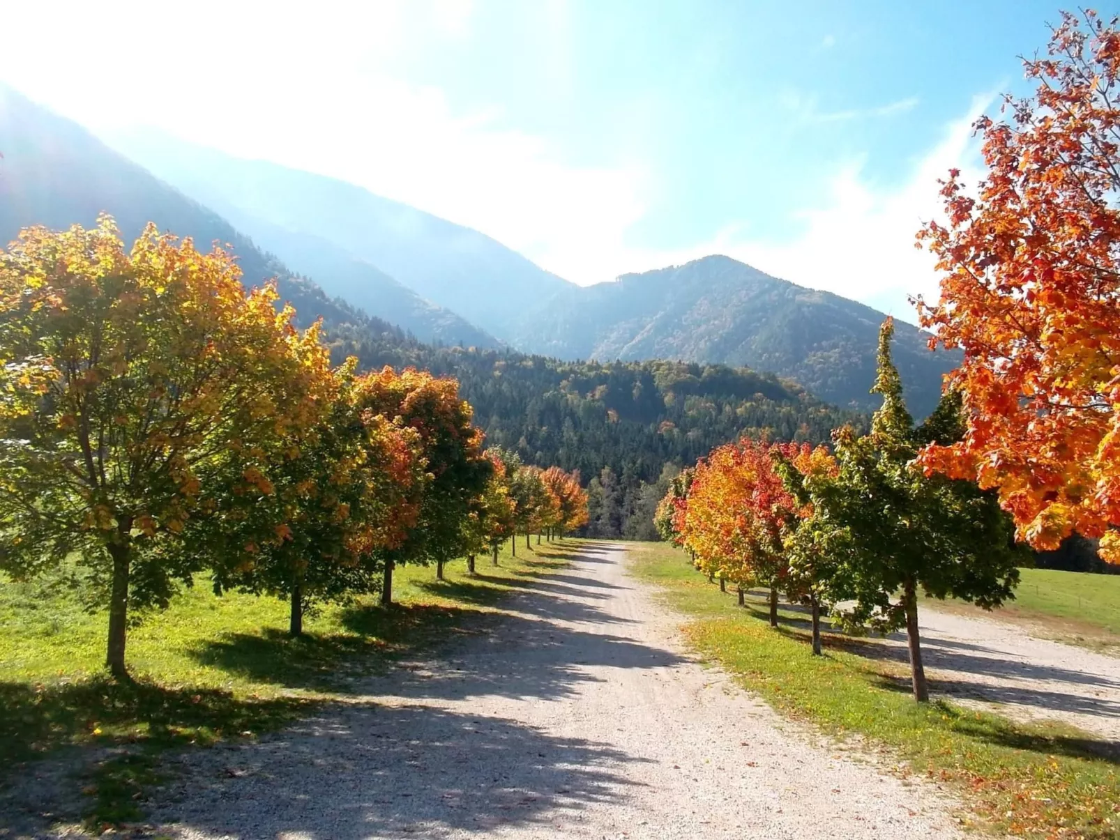 Landleben in Feistritz Ob Bleiburg-Buiten