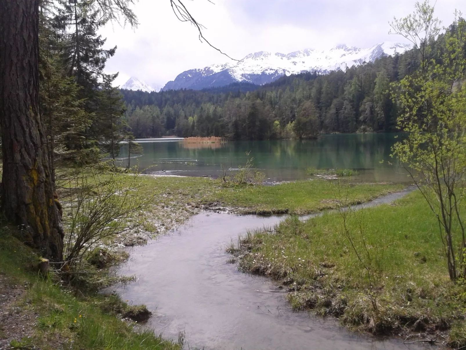 Ehrwalder Sonnenhof-Buiten