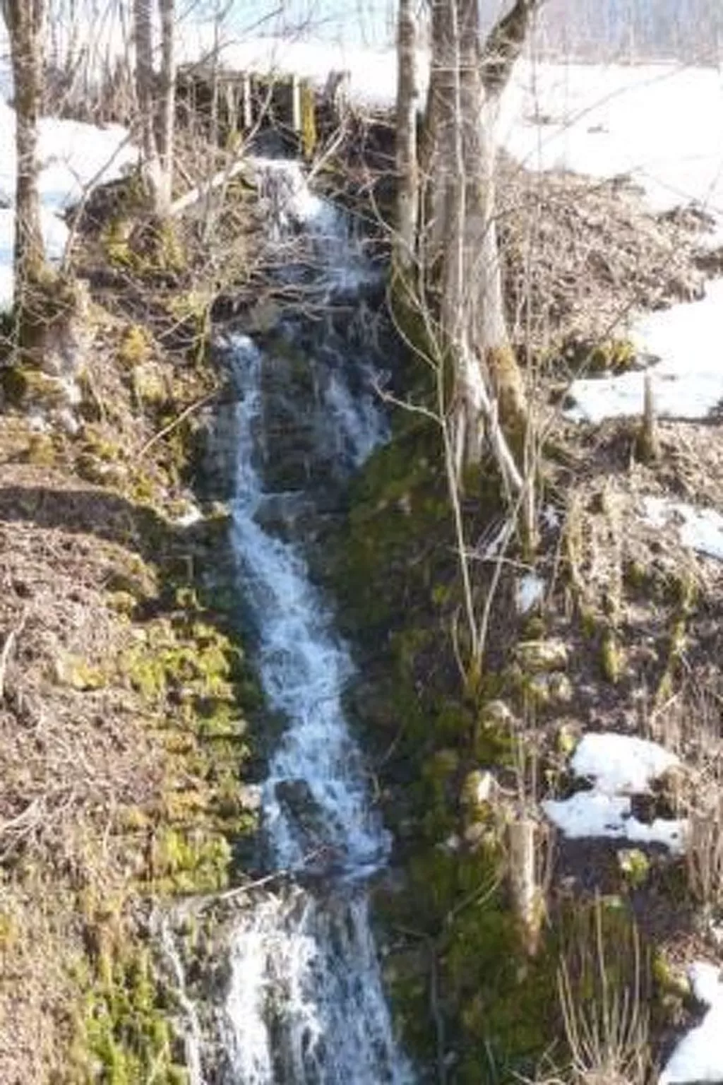 Exklusives Apartment in Panoramalage,  Sauna-Buiten