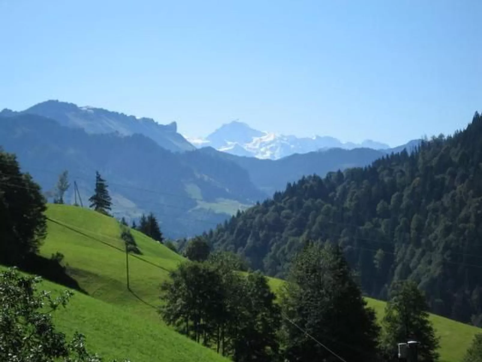 Biobauernhof Balm-Buiten