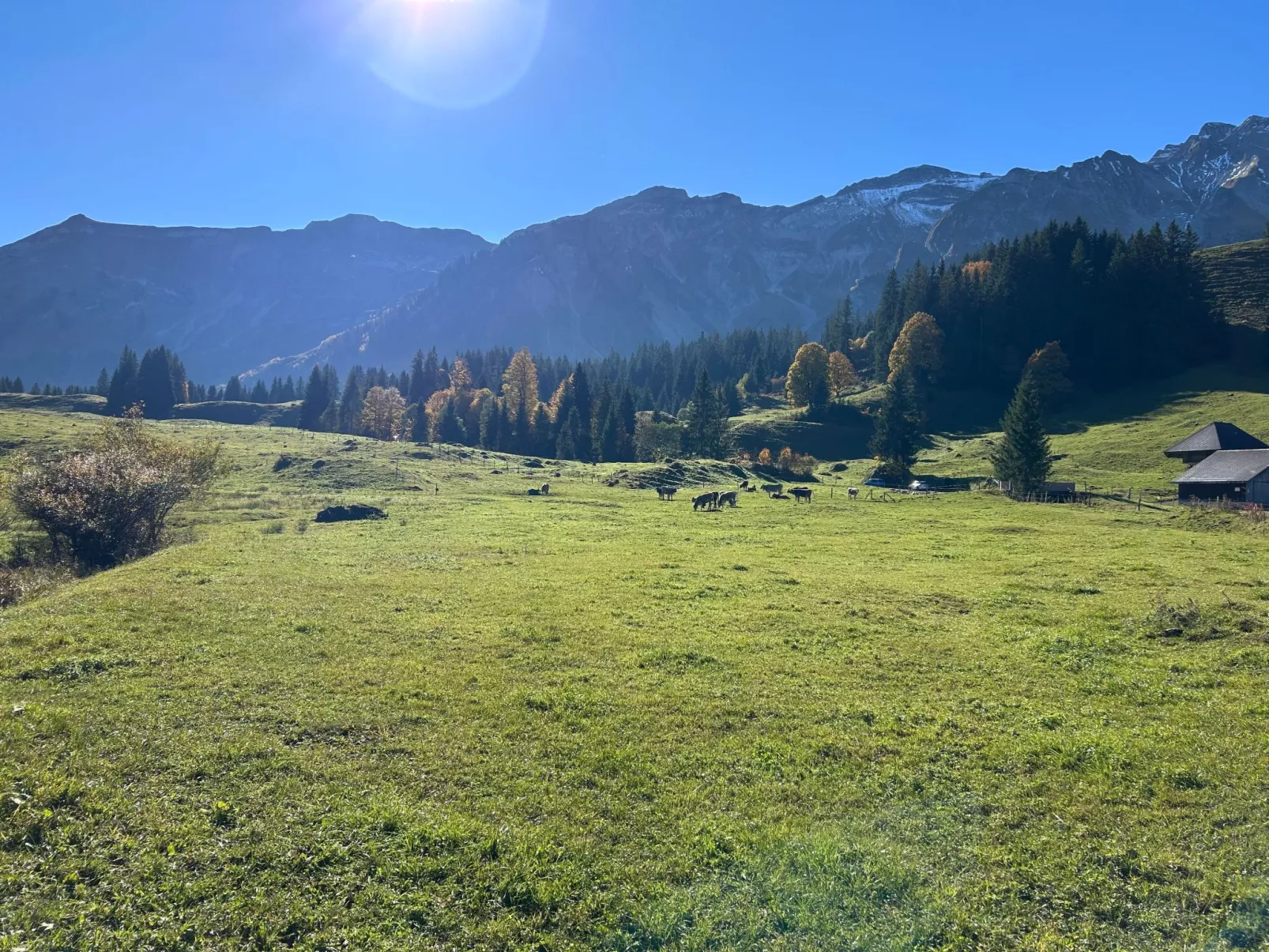 Wohnung Hirschi-Buiten
