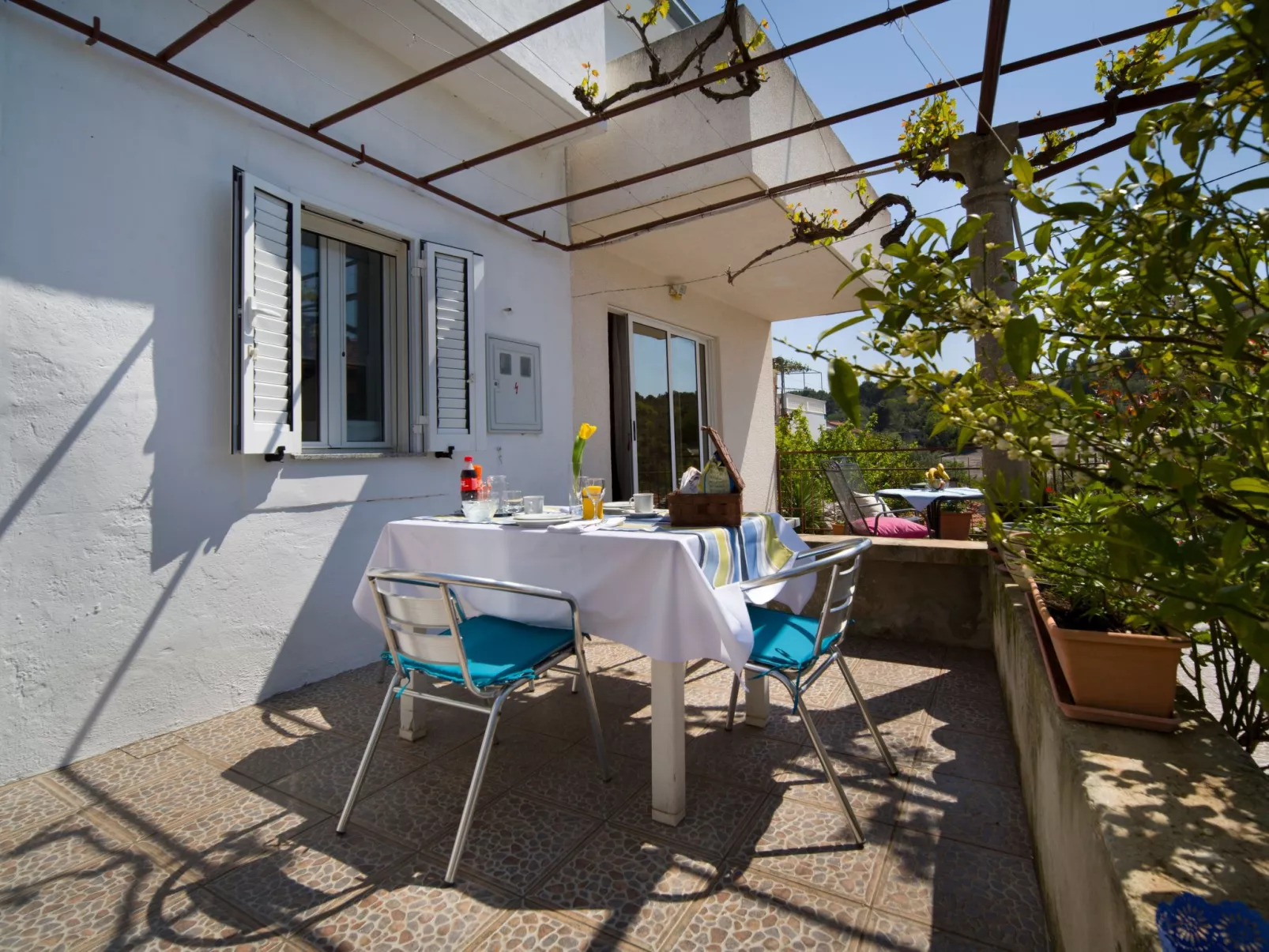 "Dororeja"-Image-tags.info