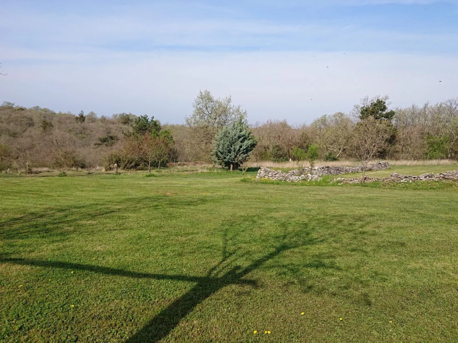 Das Haus im Wald-Buiten