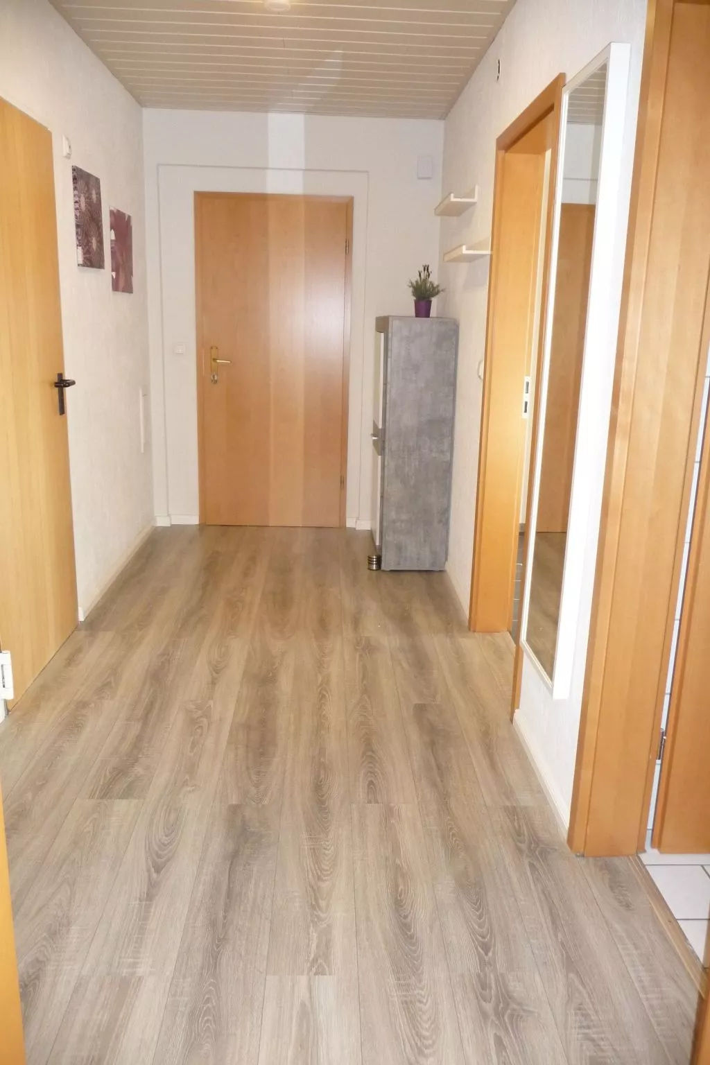 Apartment mit Hund-Binnen