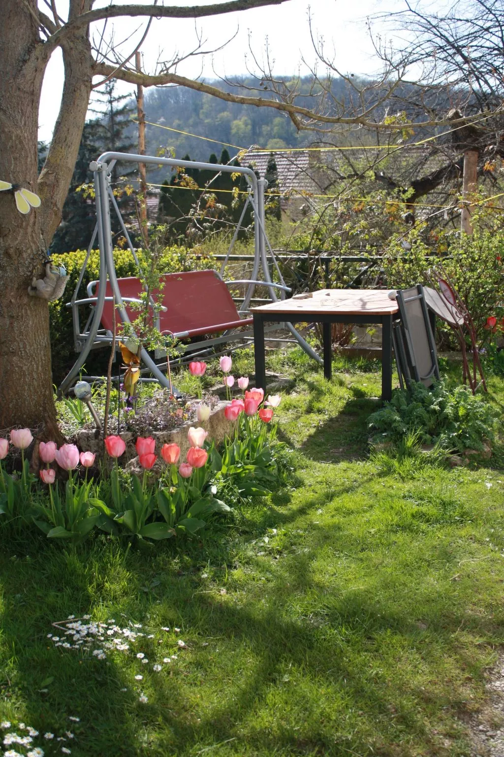 Große Fewo-Image-tags.info