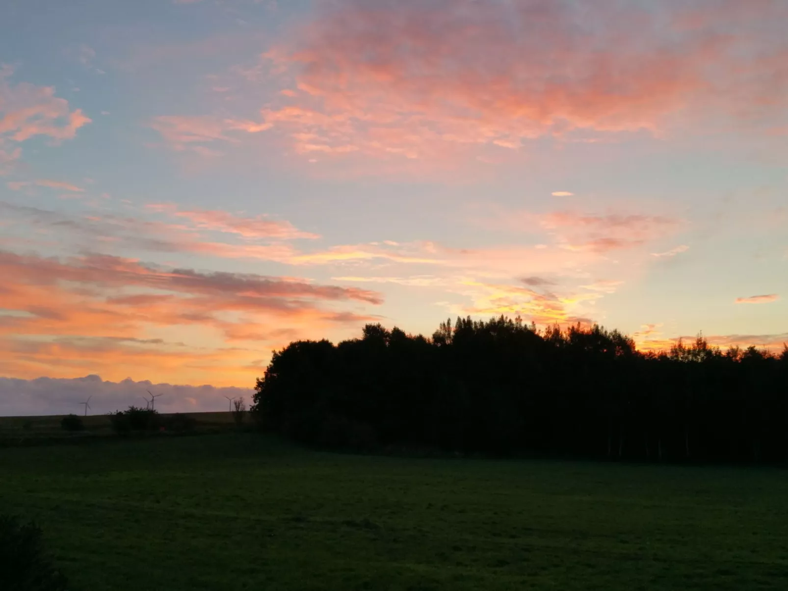 Haus-Zauberblau-Buiten