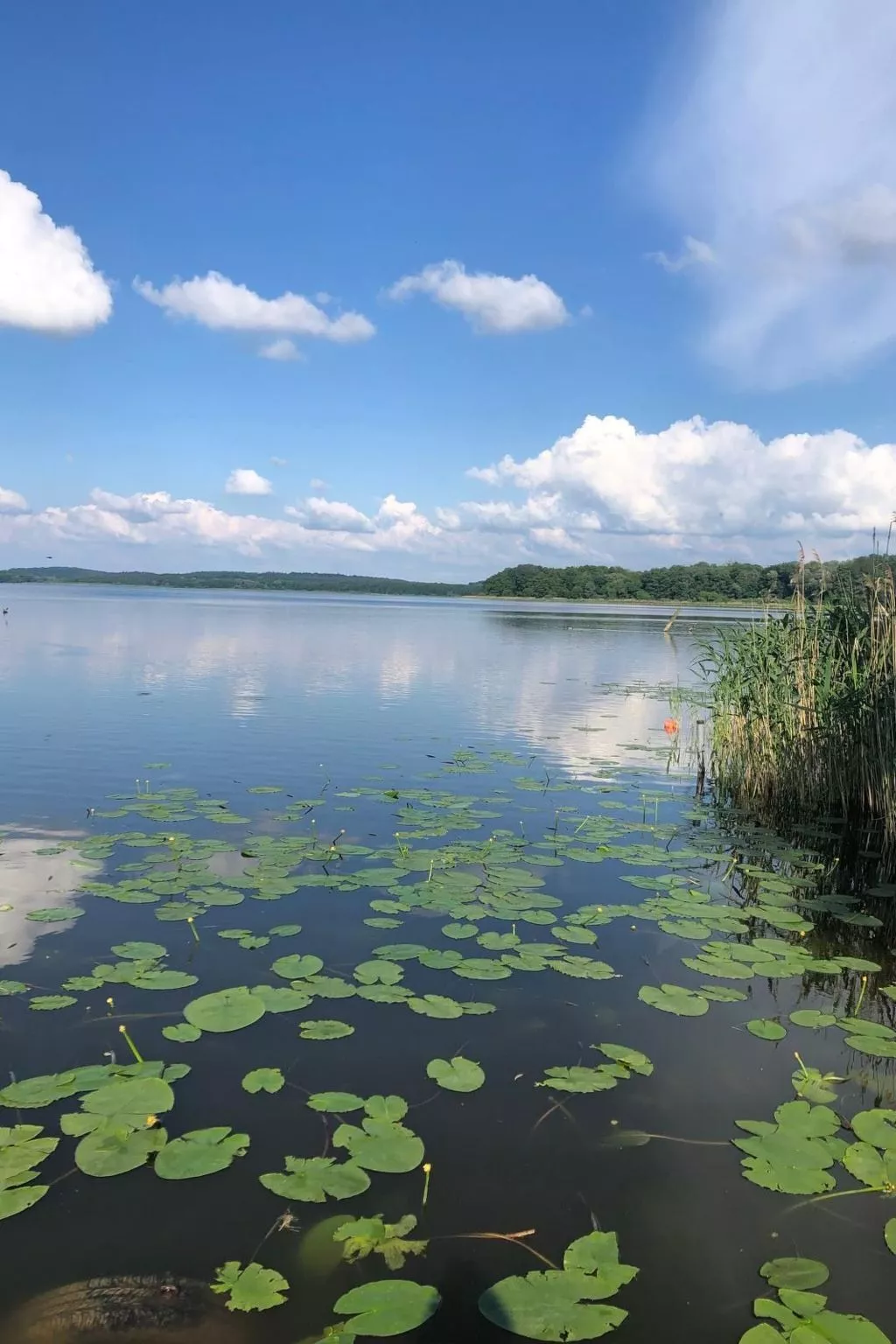 Mit Sauna und Kaminofen-Buiten